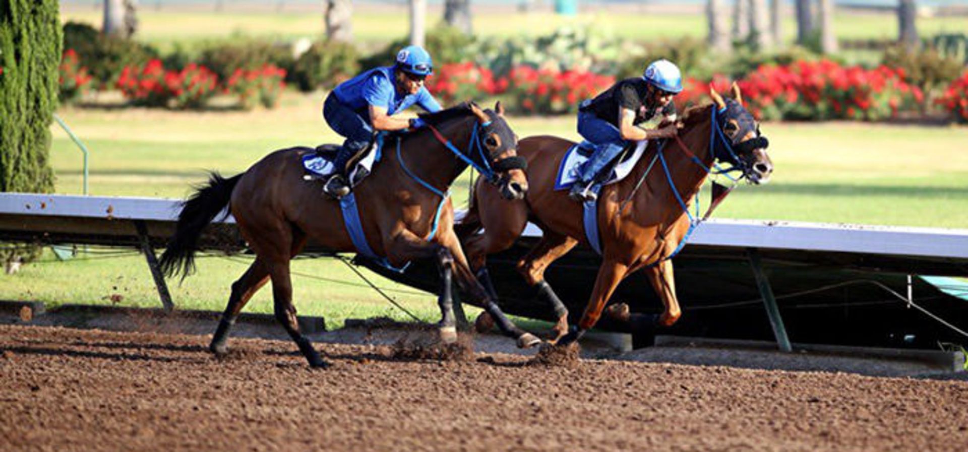 نمونه تصاویر گرفته شده با لنز کانن 200mm f1.8