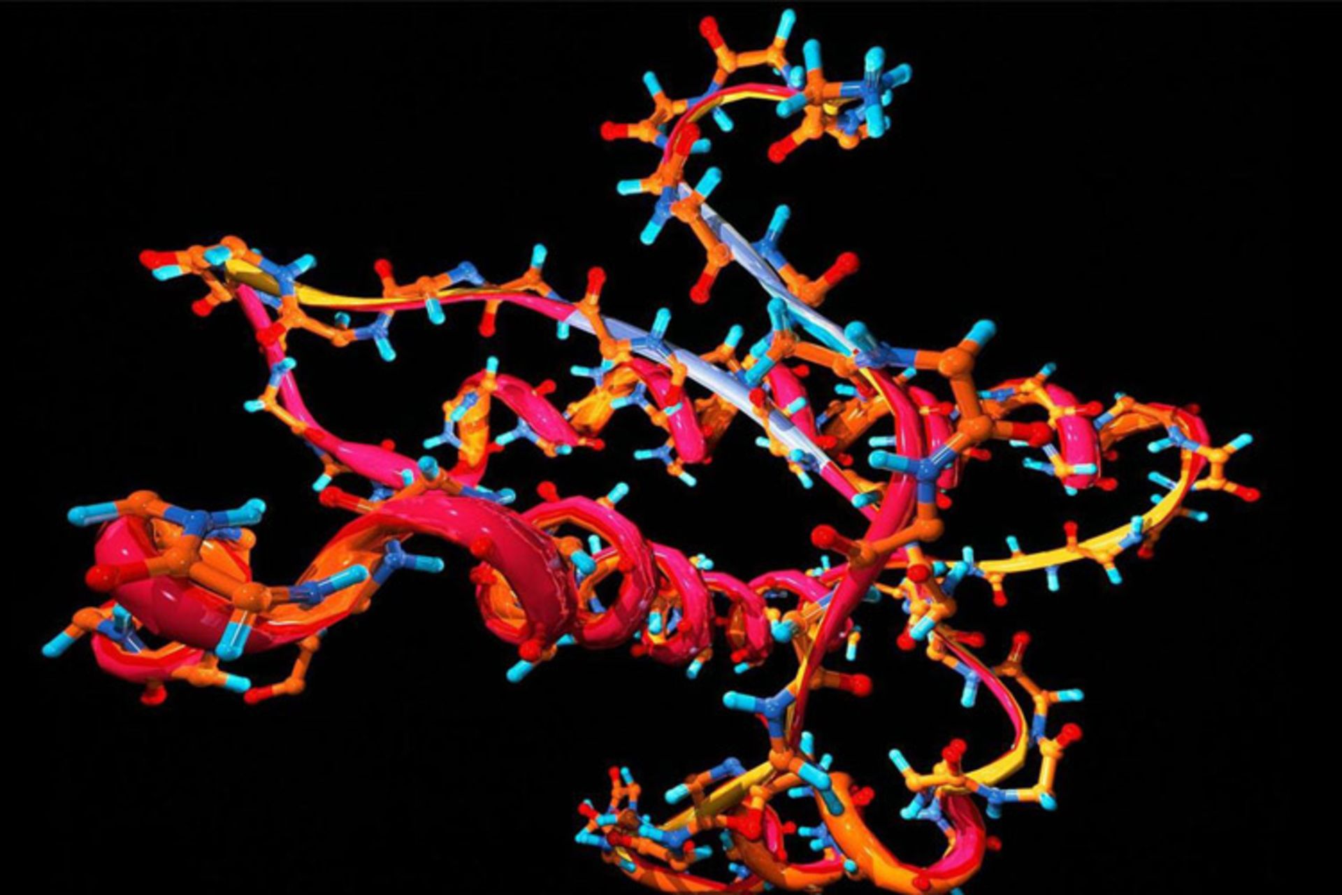 مرجع متخصصين ايران RNA