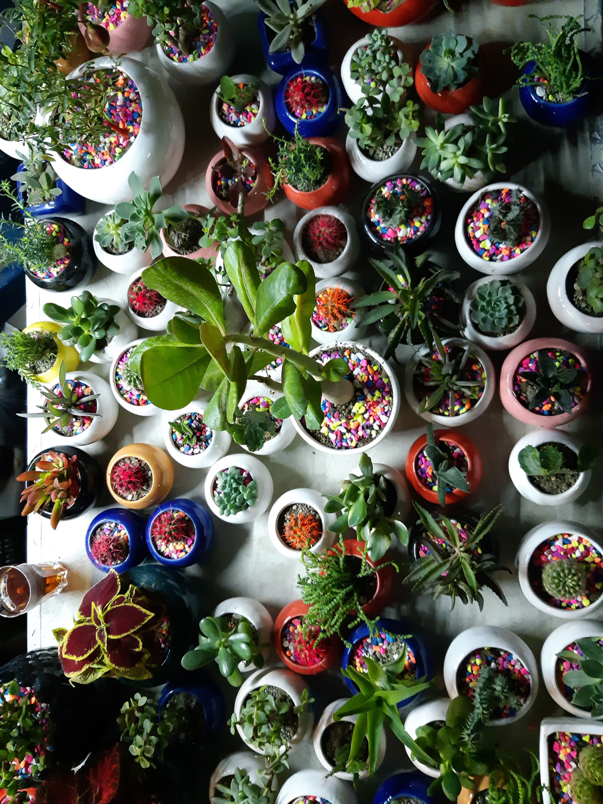 نمونه تصاویر گلکسی ای ۸