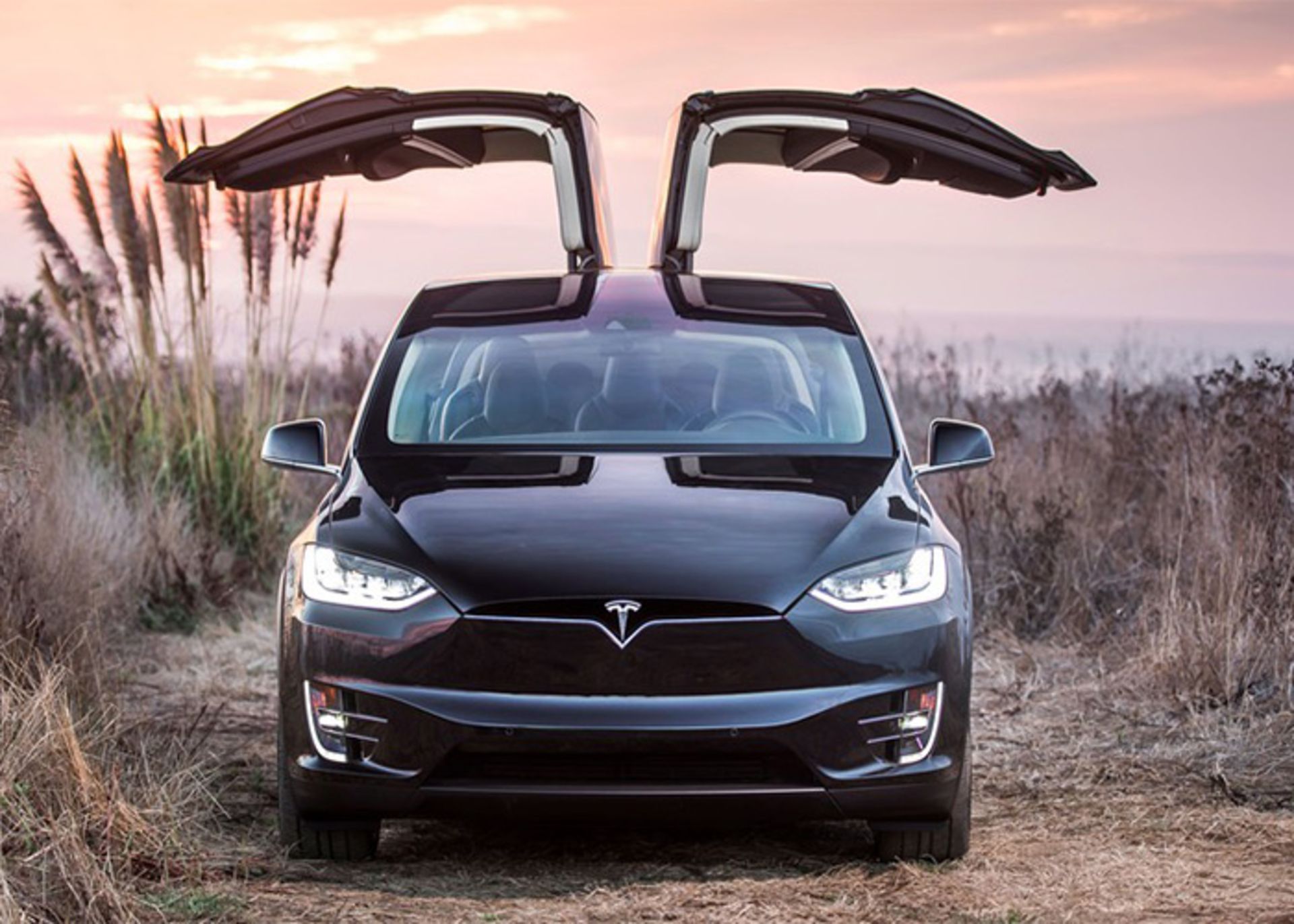 tesla model x