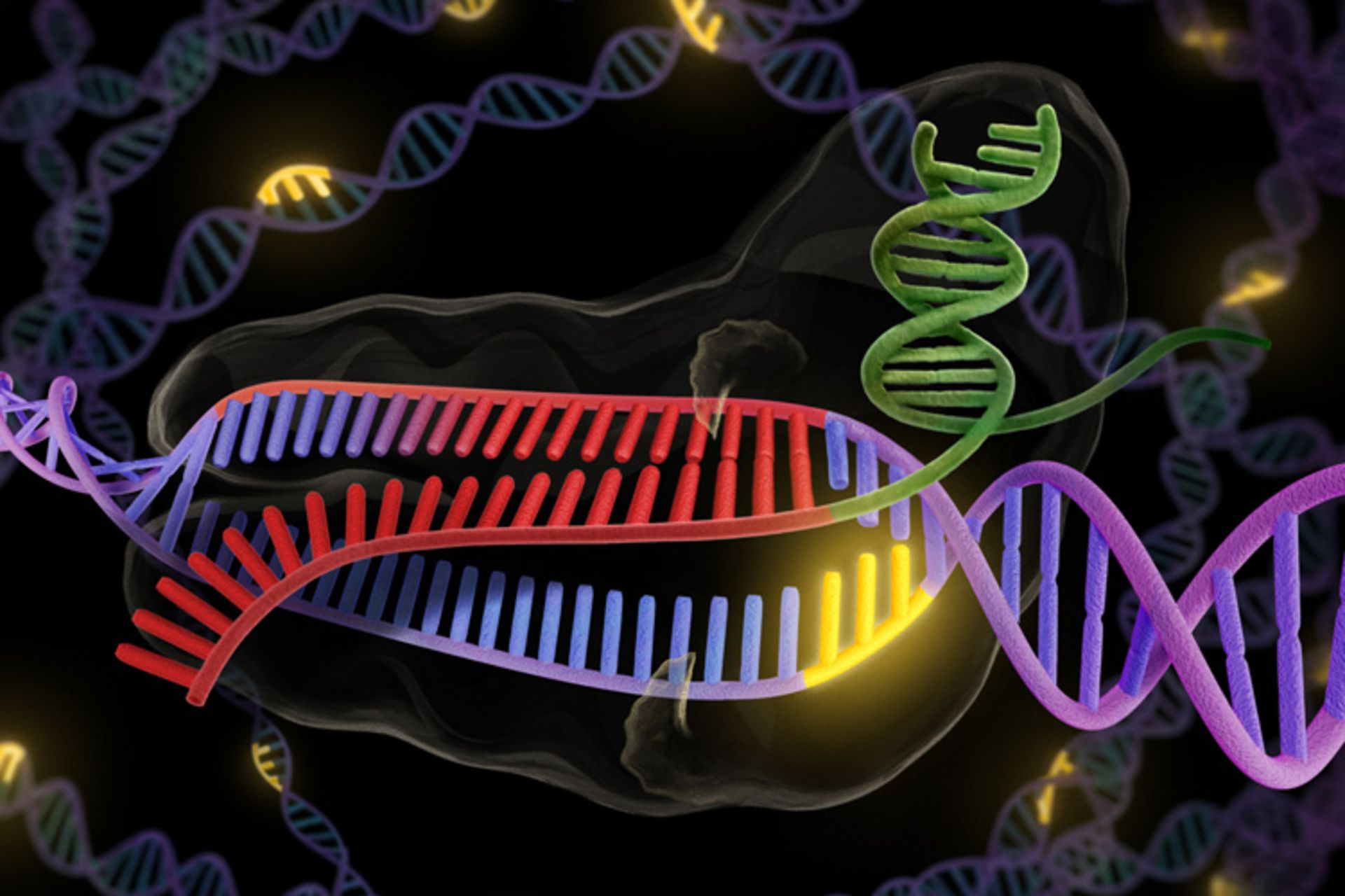 مرجع متخصصين ايران كريسپر CRISPR Cas