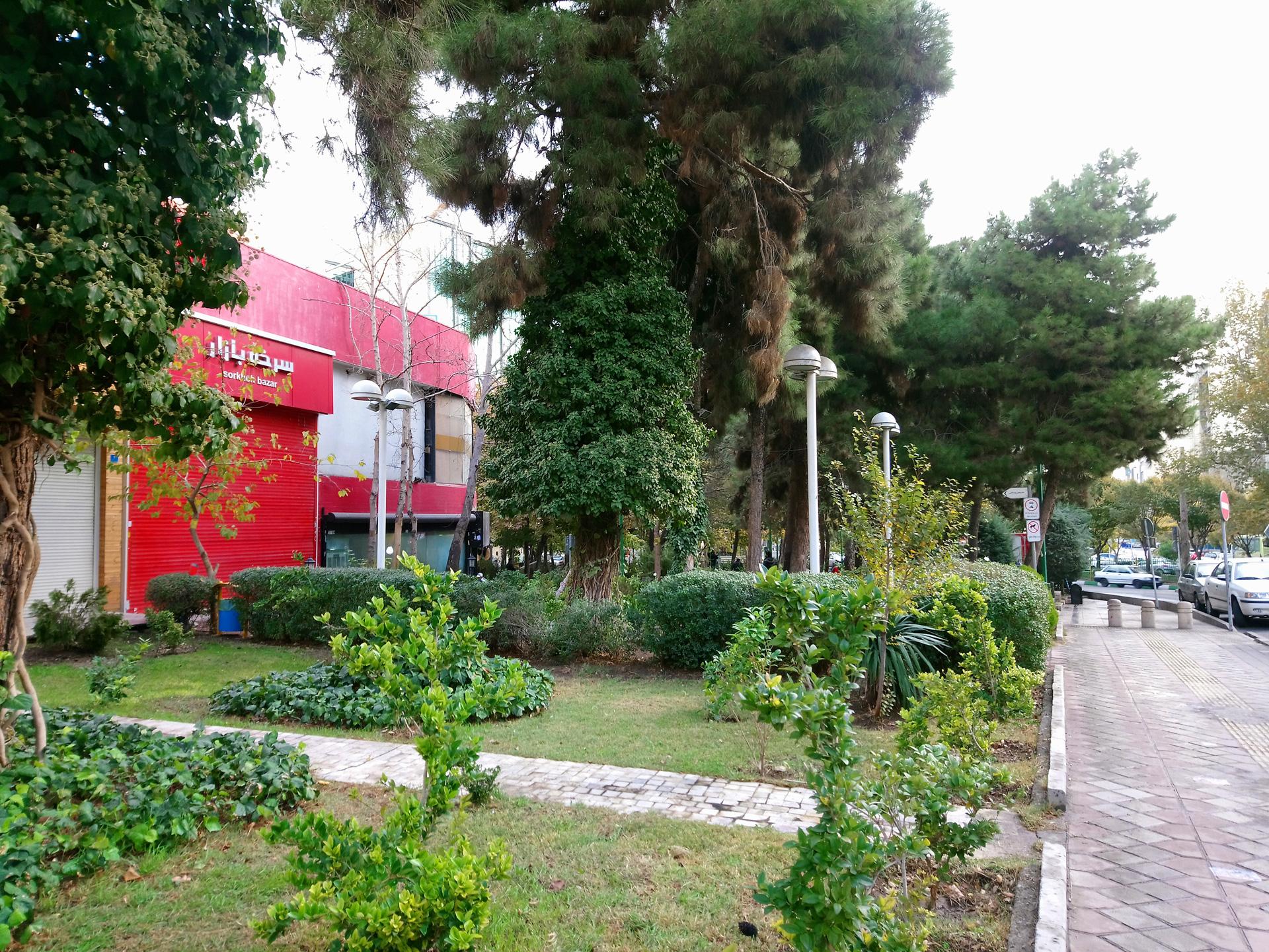 نمونه تصویر اکسپریا ایکس ای وان پلاس