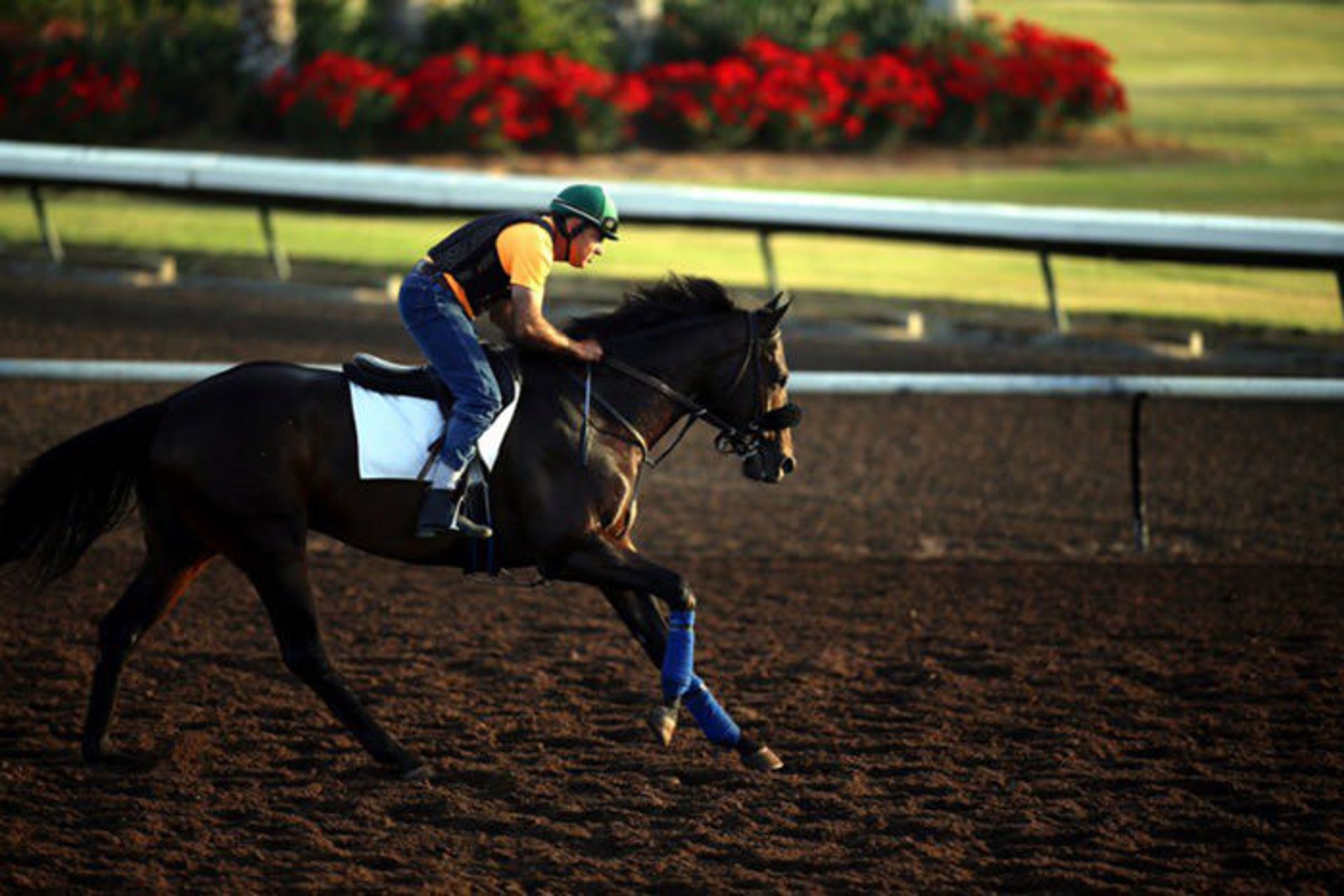 نمونه تصاویر گرفته شده با لنز کانن 200mm f1.8