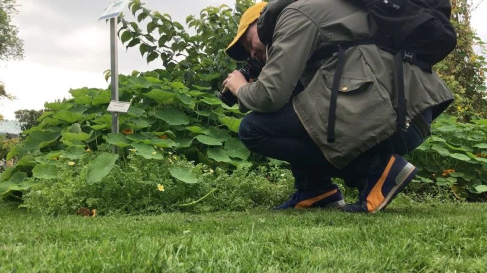 عکاسی ماکرو