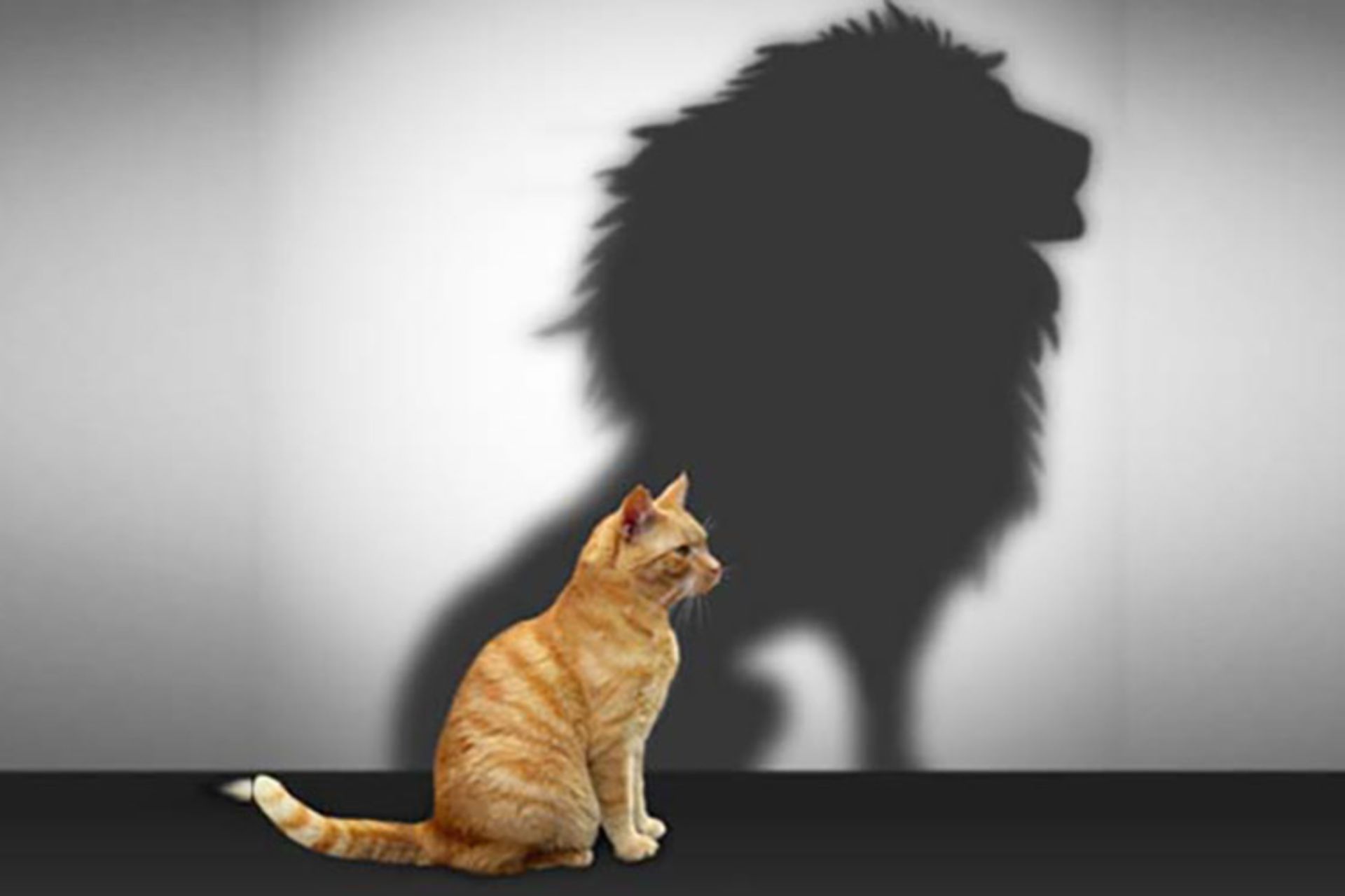 خود بزرگ پنداری