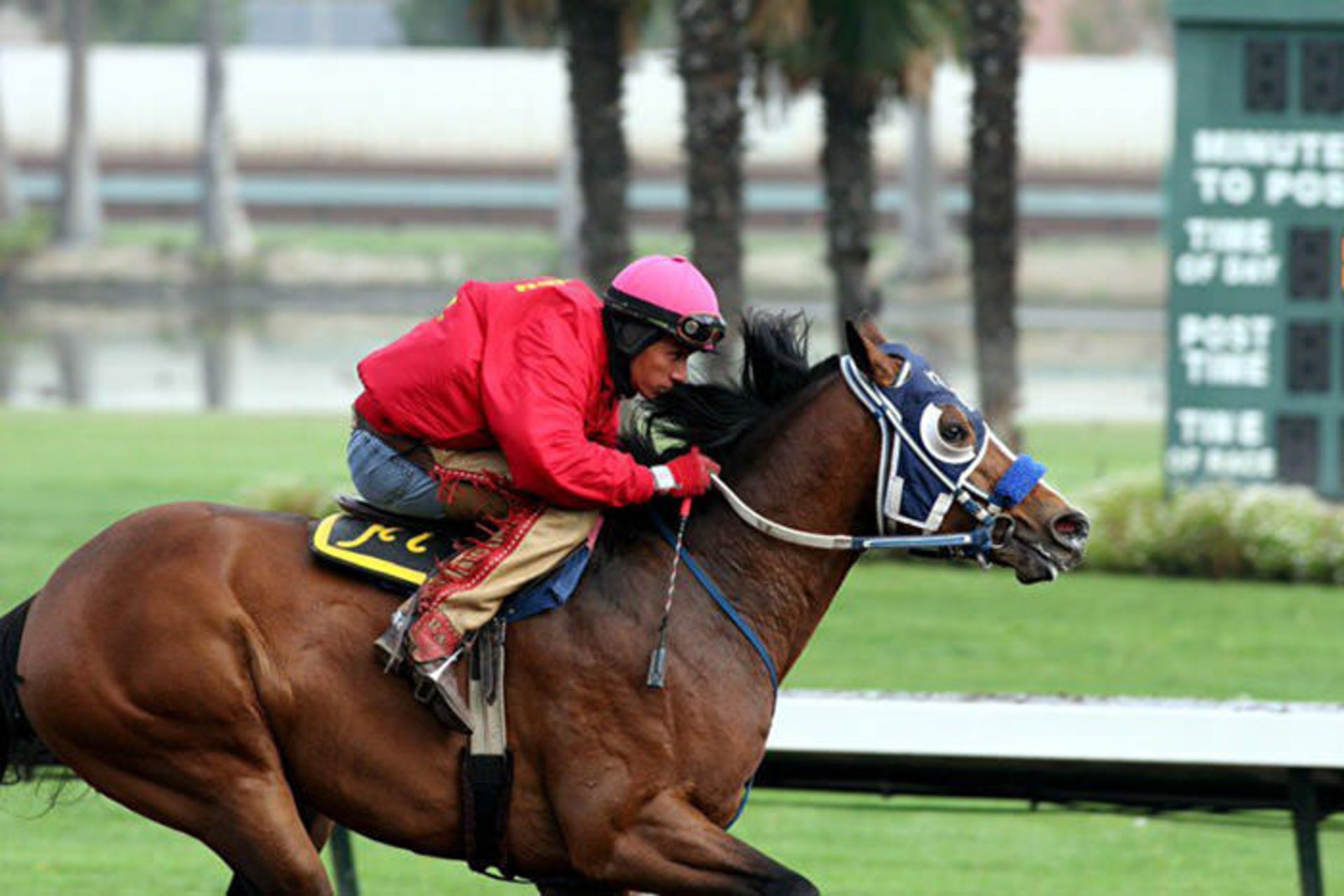 نمونه تصاویر گرفته شده با لنز کانن 200mm f1.8