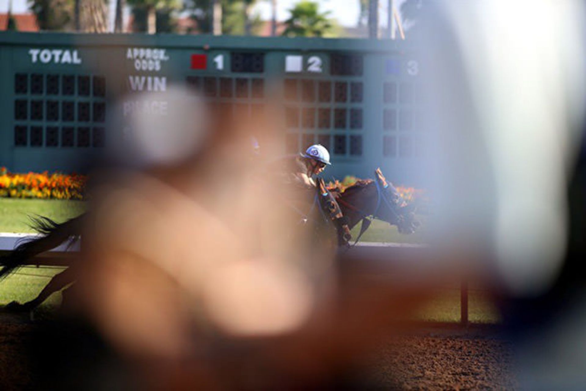 نمونه تصاویر گرفته شده با لنز کانن 200mm f1.8