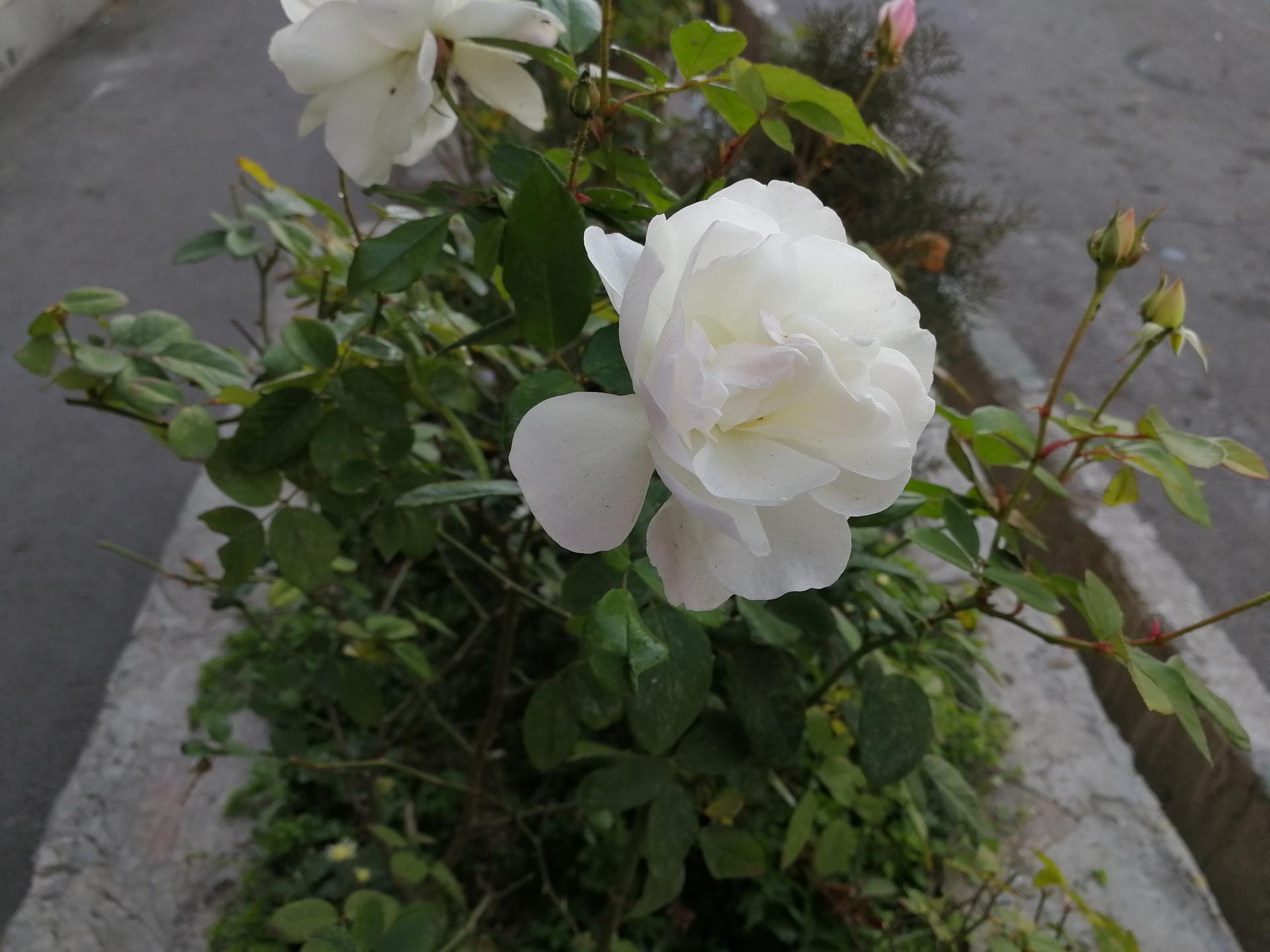 نمونه تصویر ثبت‌شده با آنر ۹