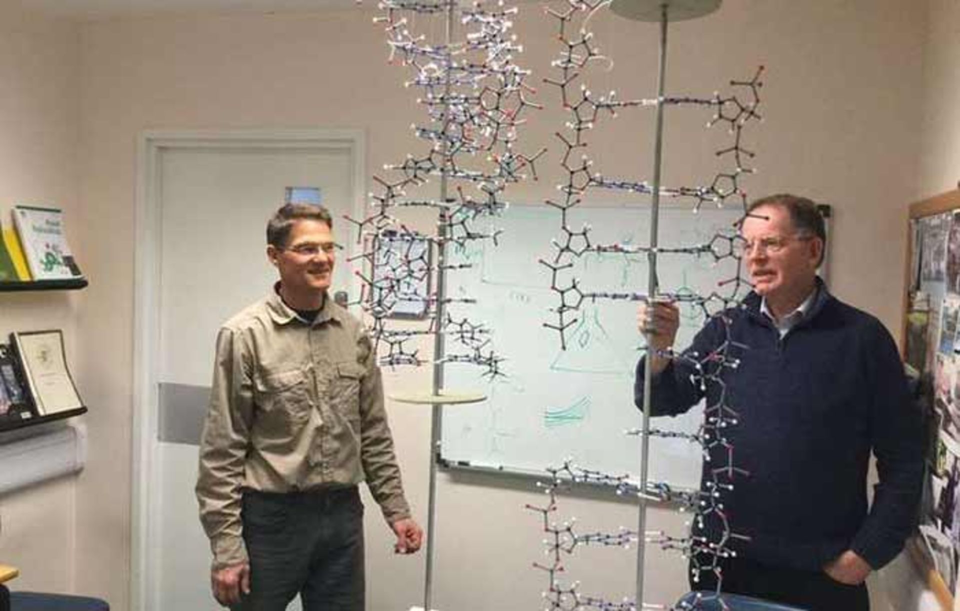 کشف دی ان ای 