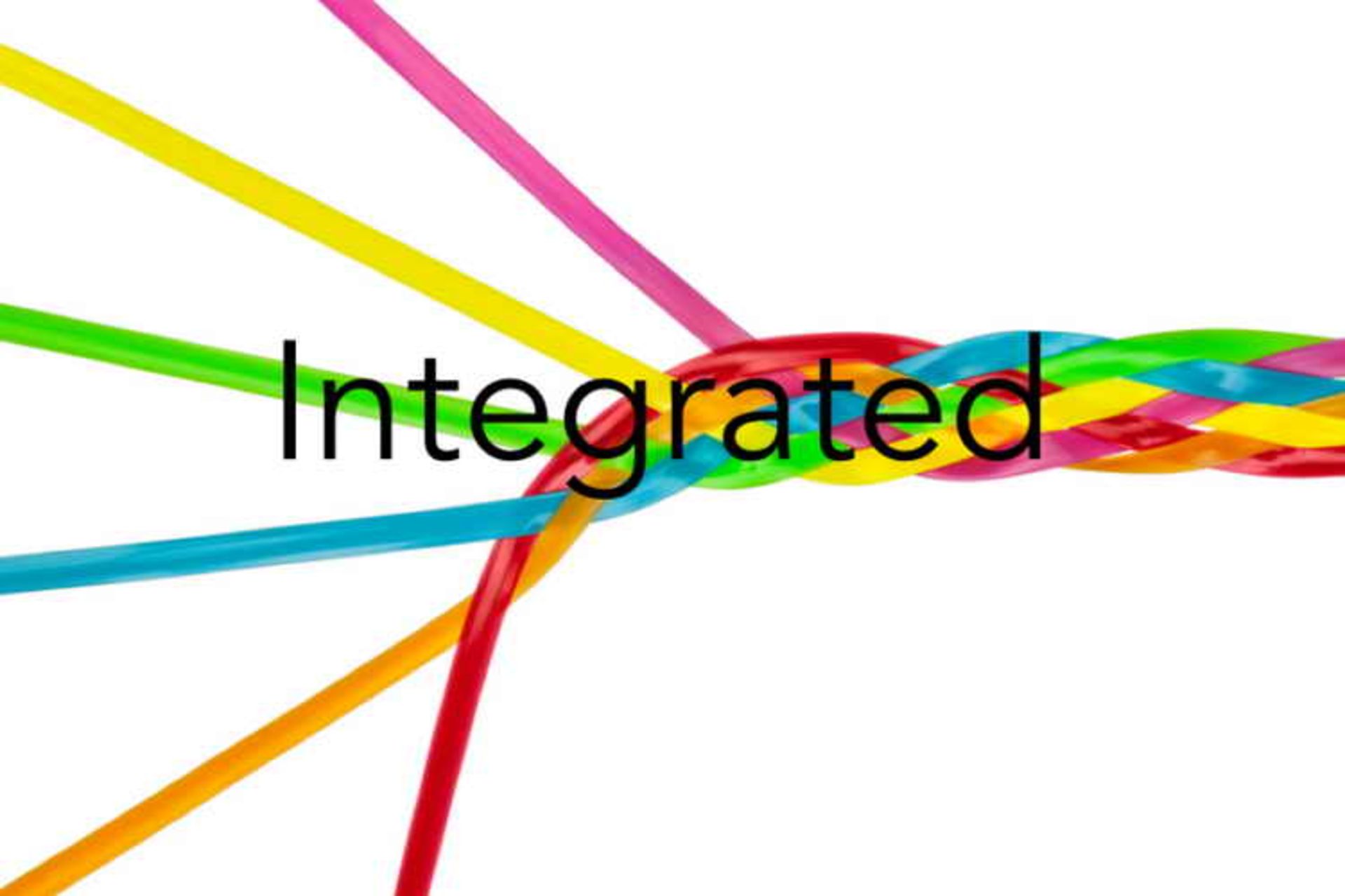 Project Integration Management