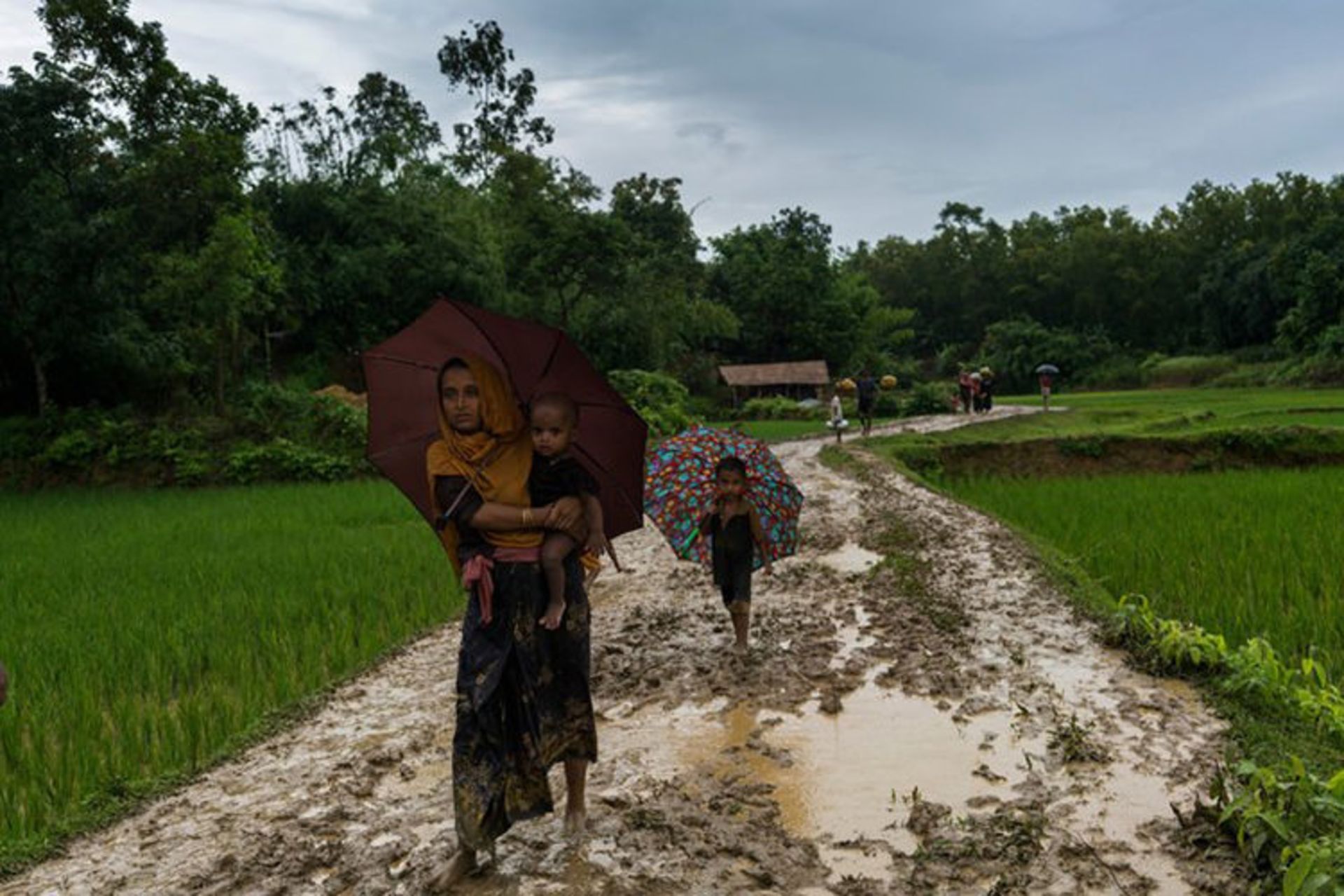 مرجع متخصصين ايران پناهجويان ميانمار / myanmar refugees