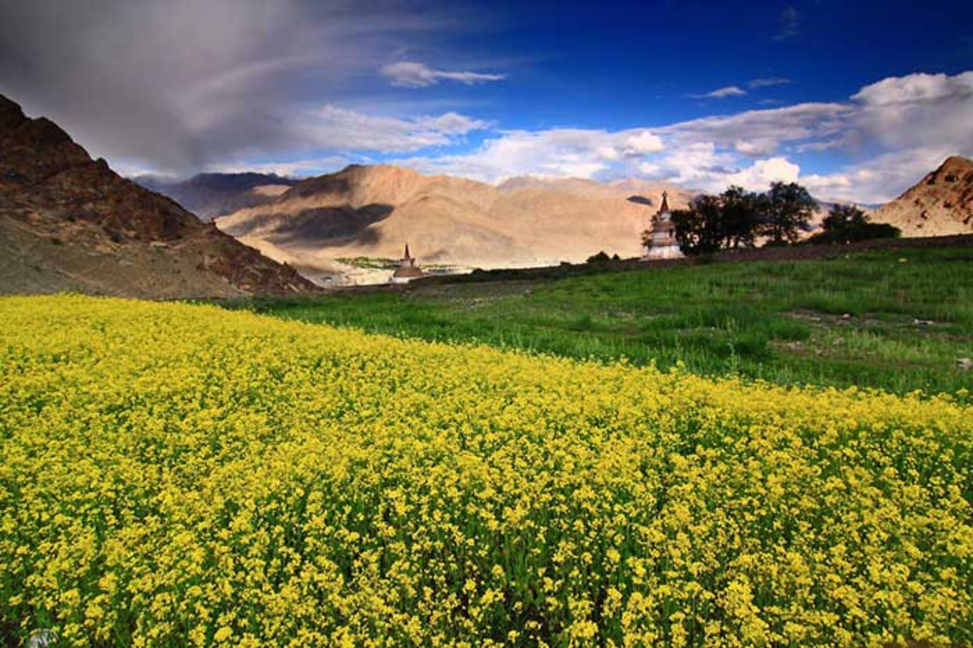 عکاسی از چشم اندازهای متفاوت کشور هند