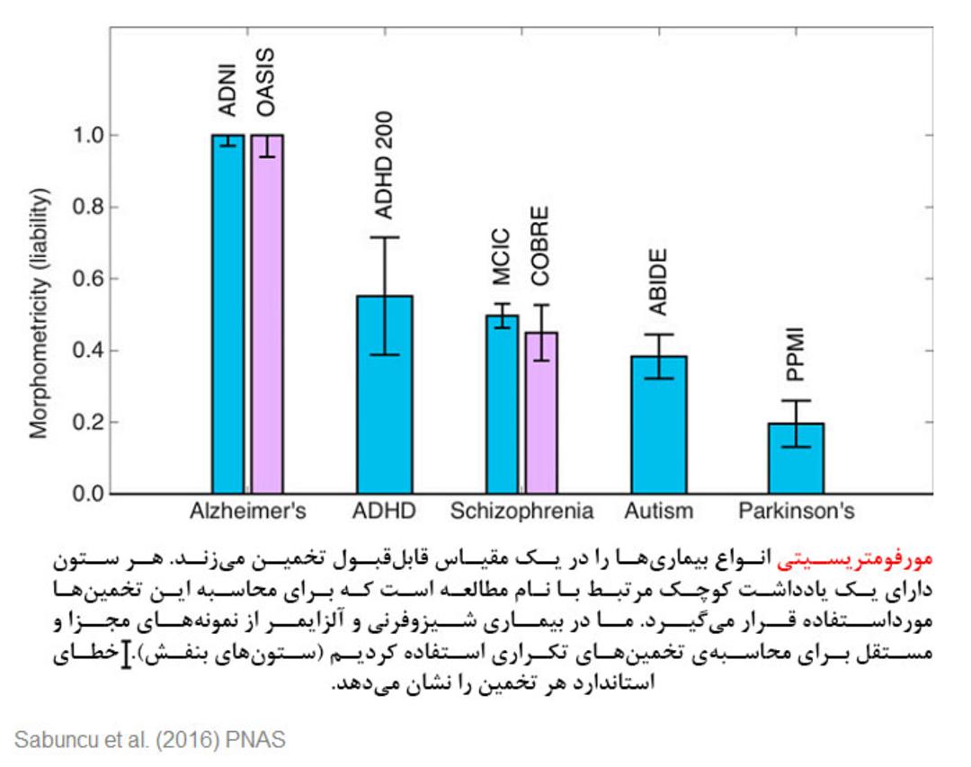 مورفومتریسیتی 
