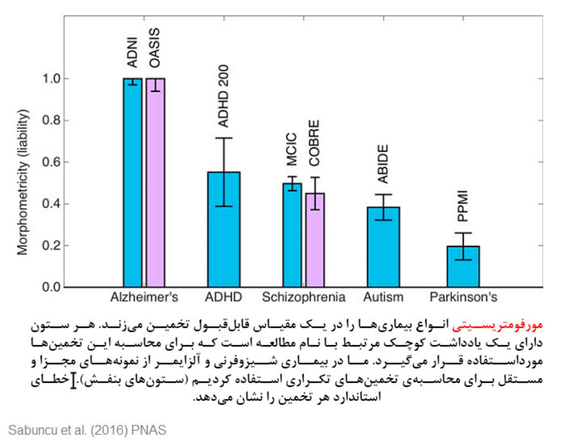 مورفومتریسیتی 