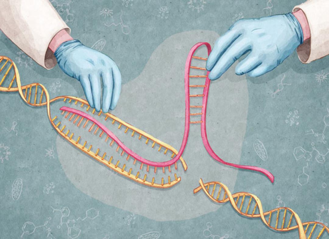 CRISPR