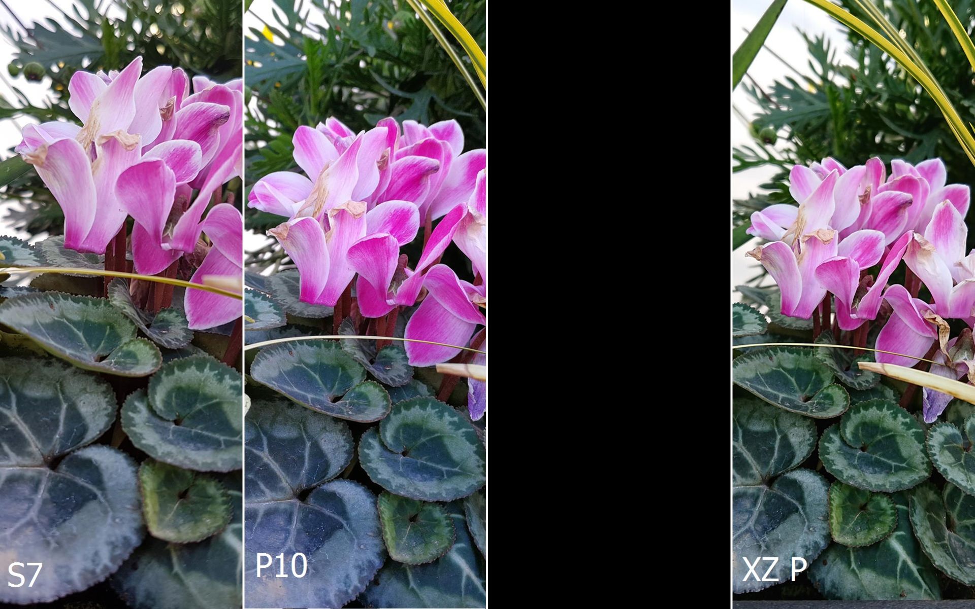 مقایسه دوربین پرچمدارهای ۲۰۱۷