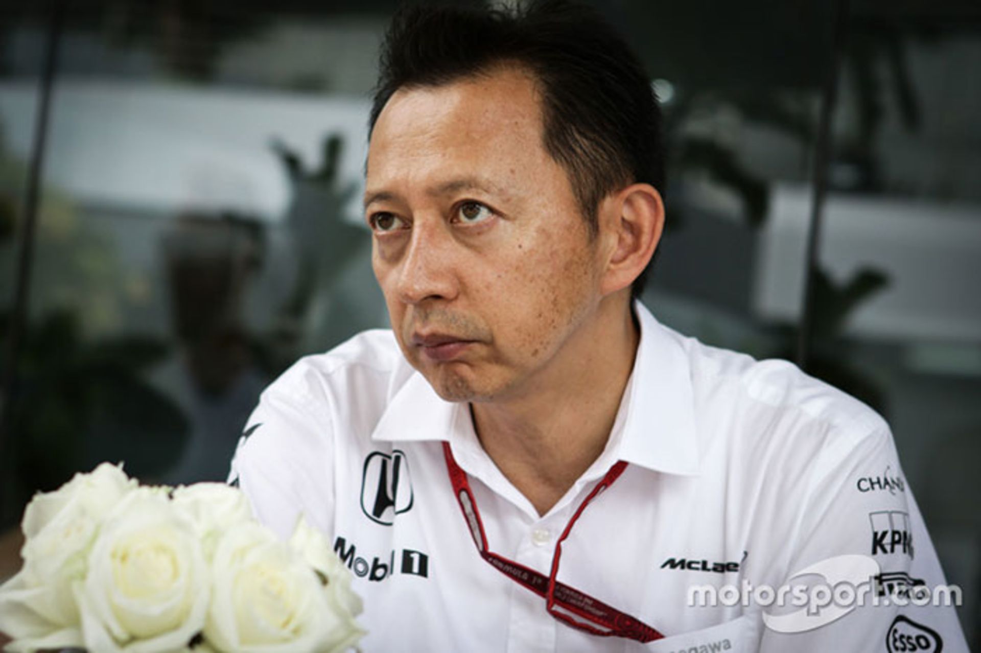 یوسوکه هاسه گاوا