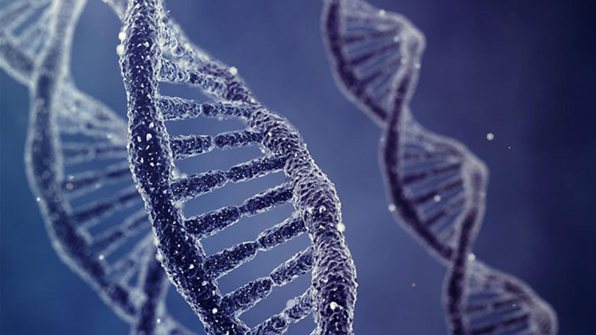 DNA