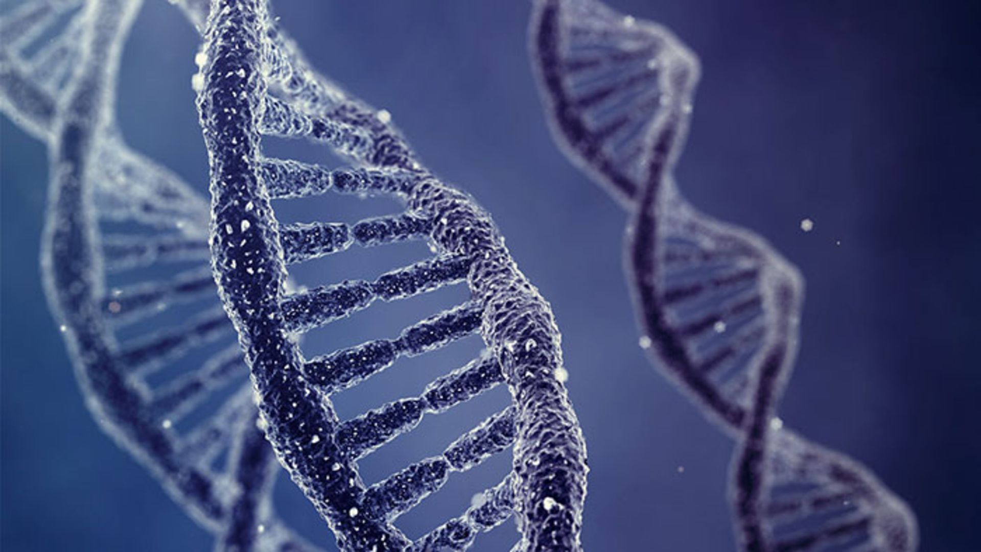 DNA