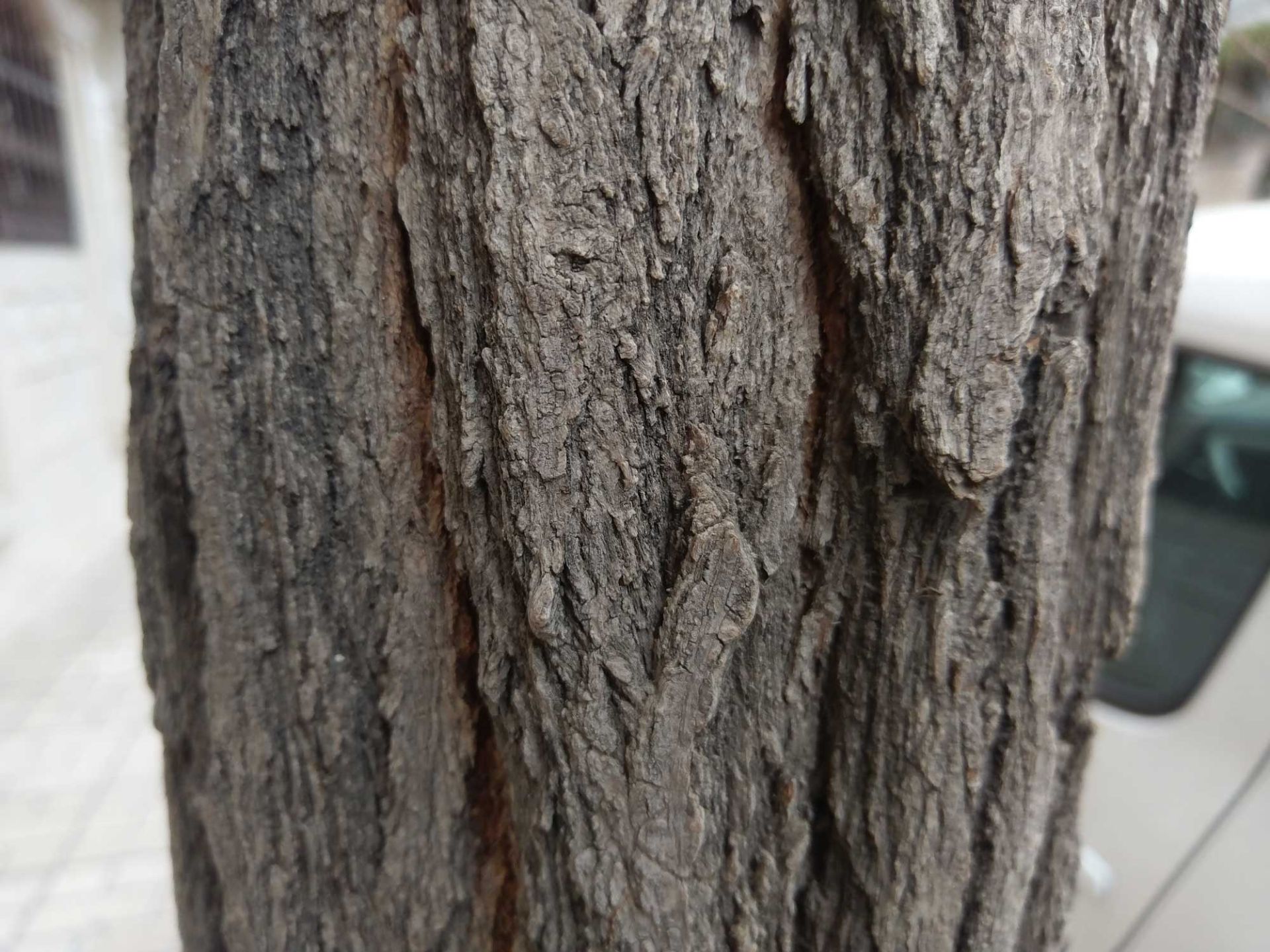 تصاویر ثبت شده با یو اولترا اچ تی سی 