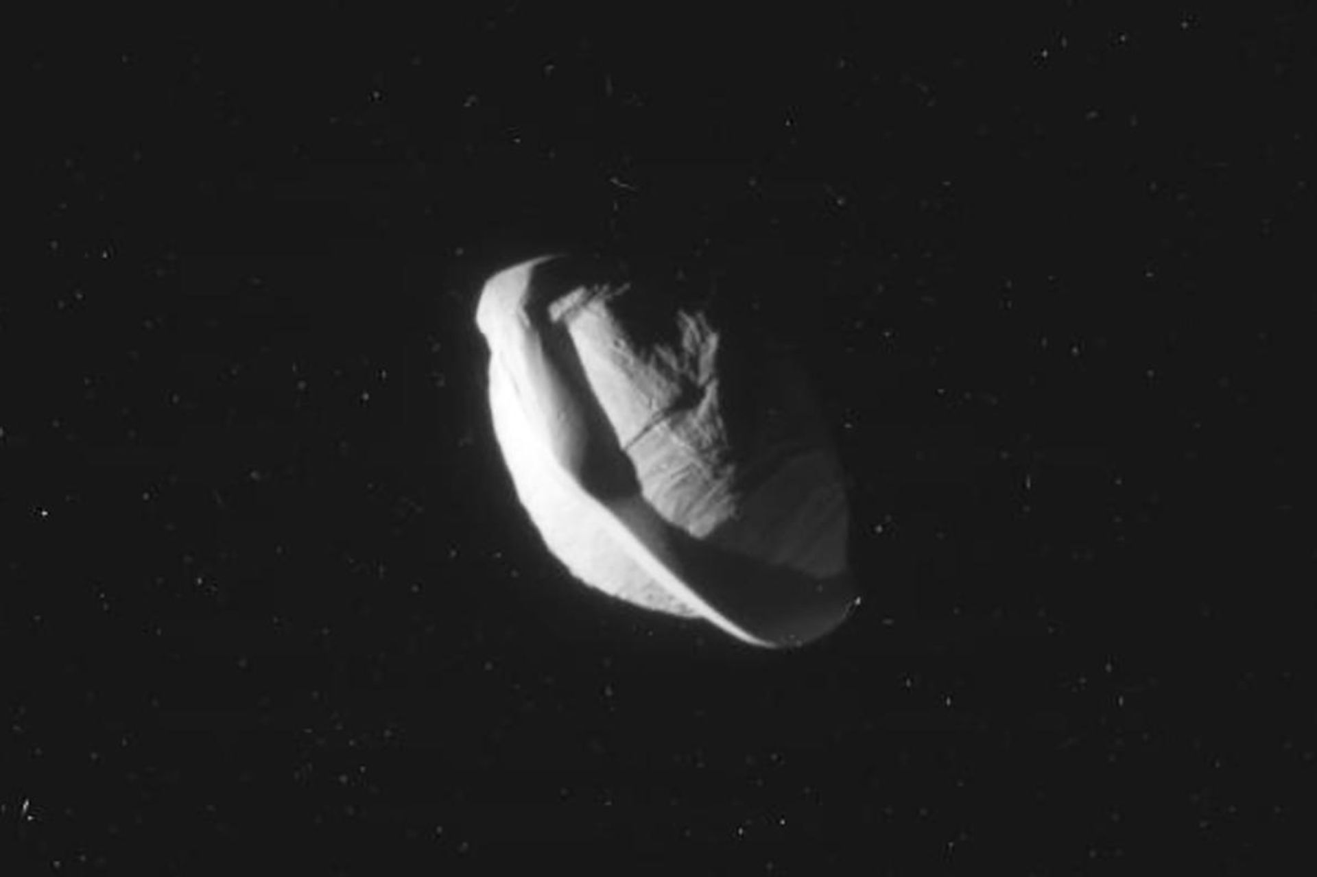 Pan