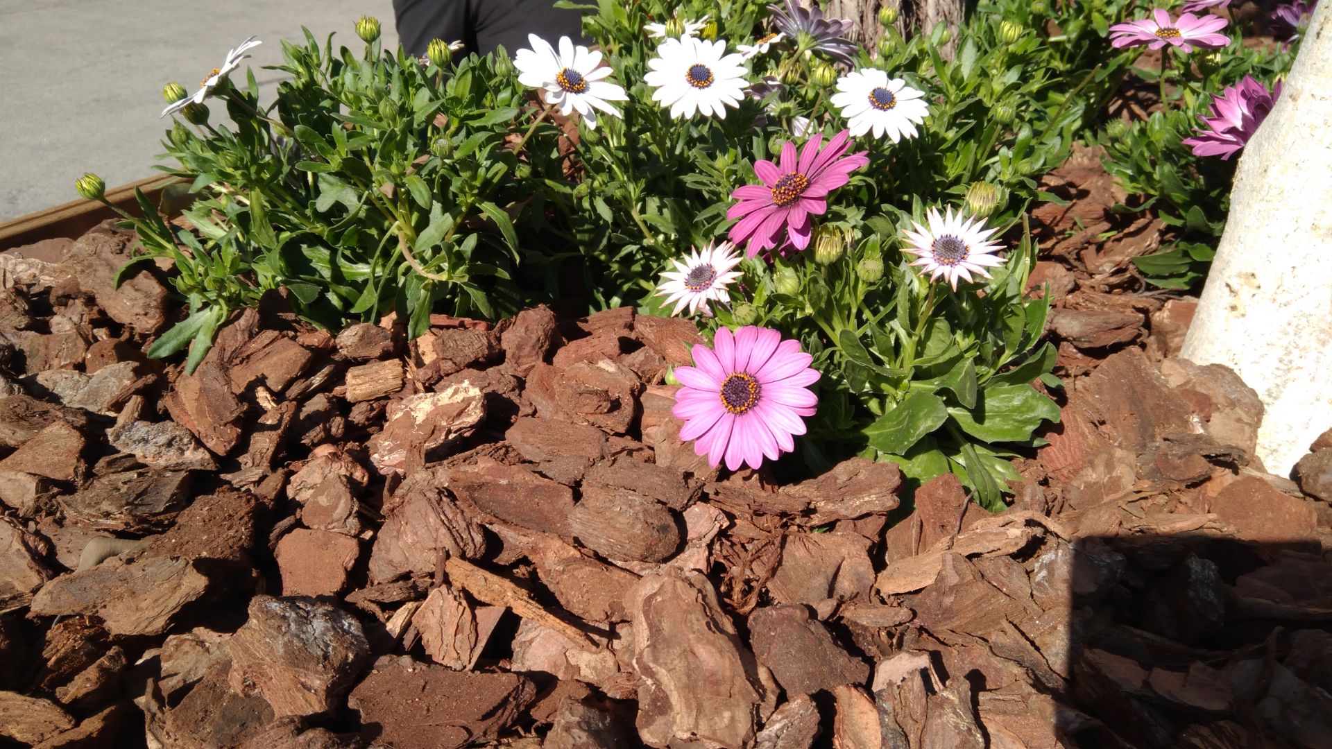 گالری تصاوی نمونه دوربین نوکیا ۳