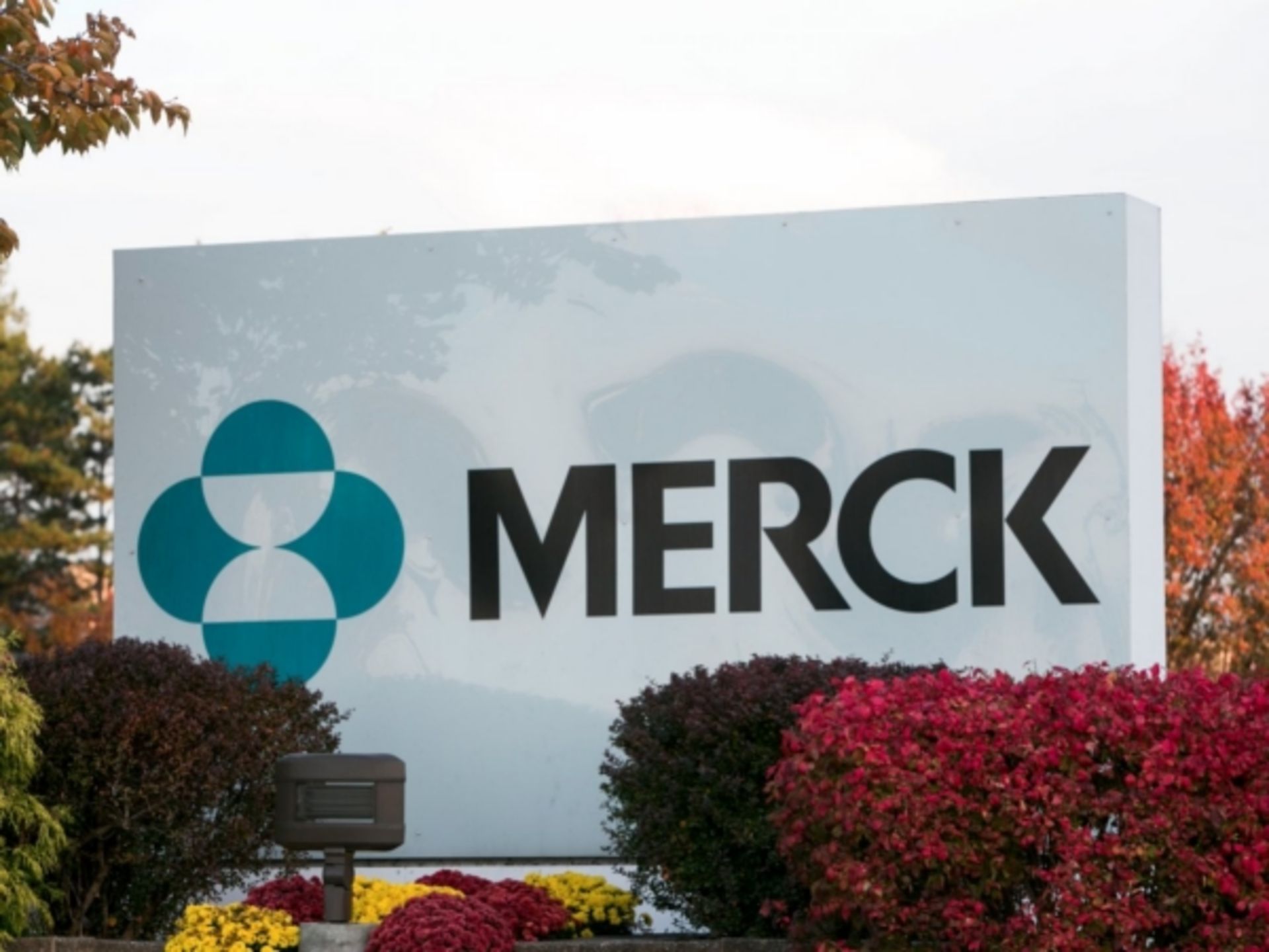 merck