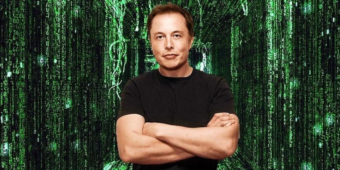 elon