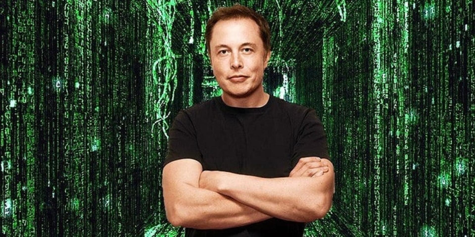 elon