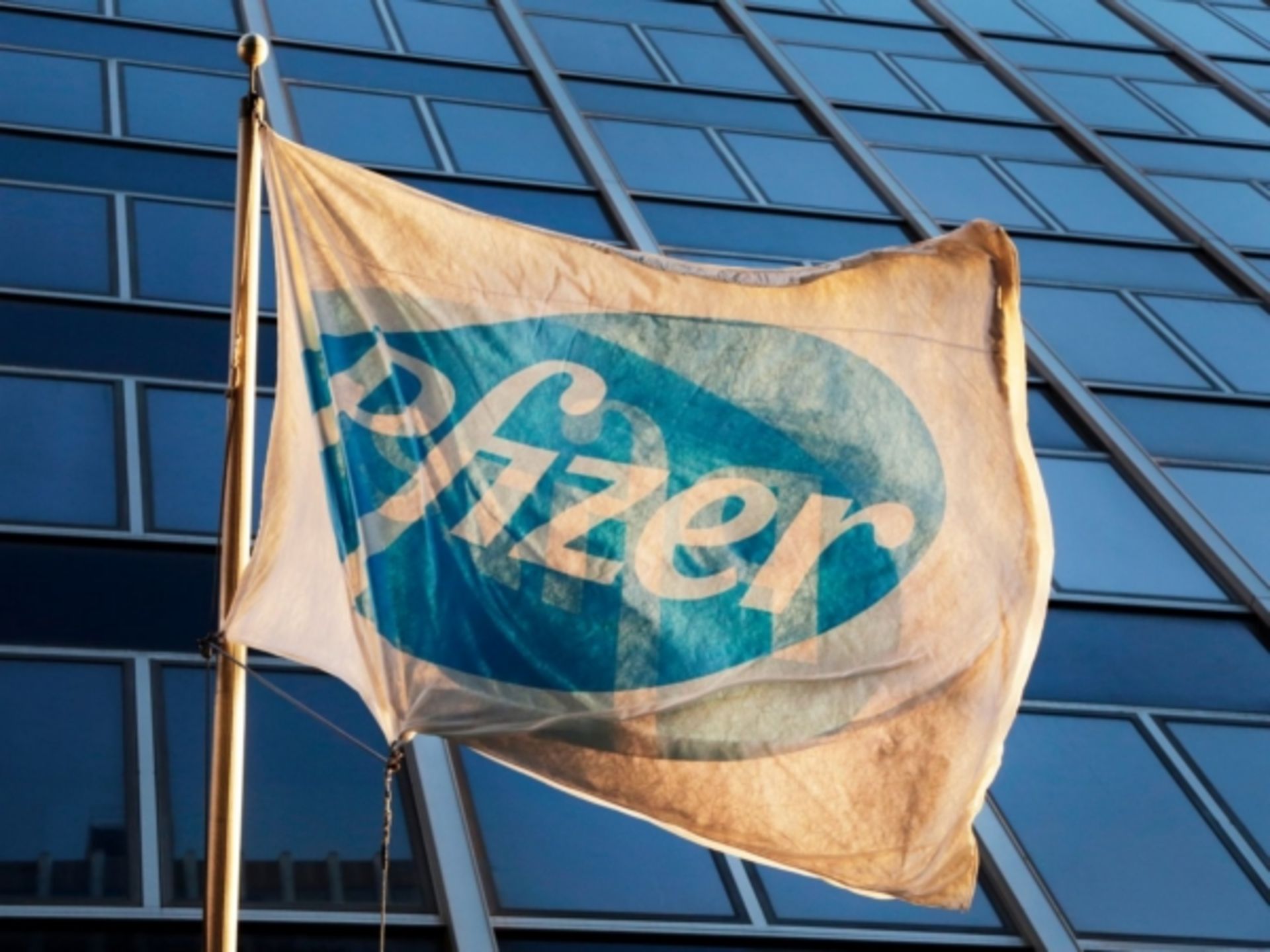 pfizer