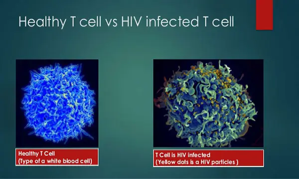 Tcell
