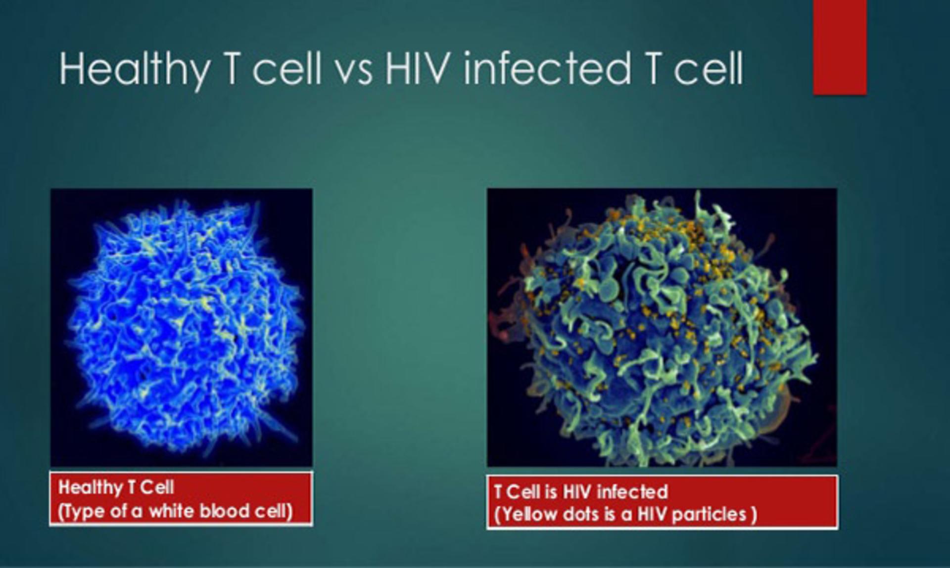 Tcell