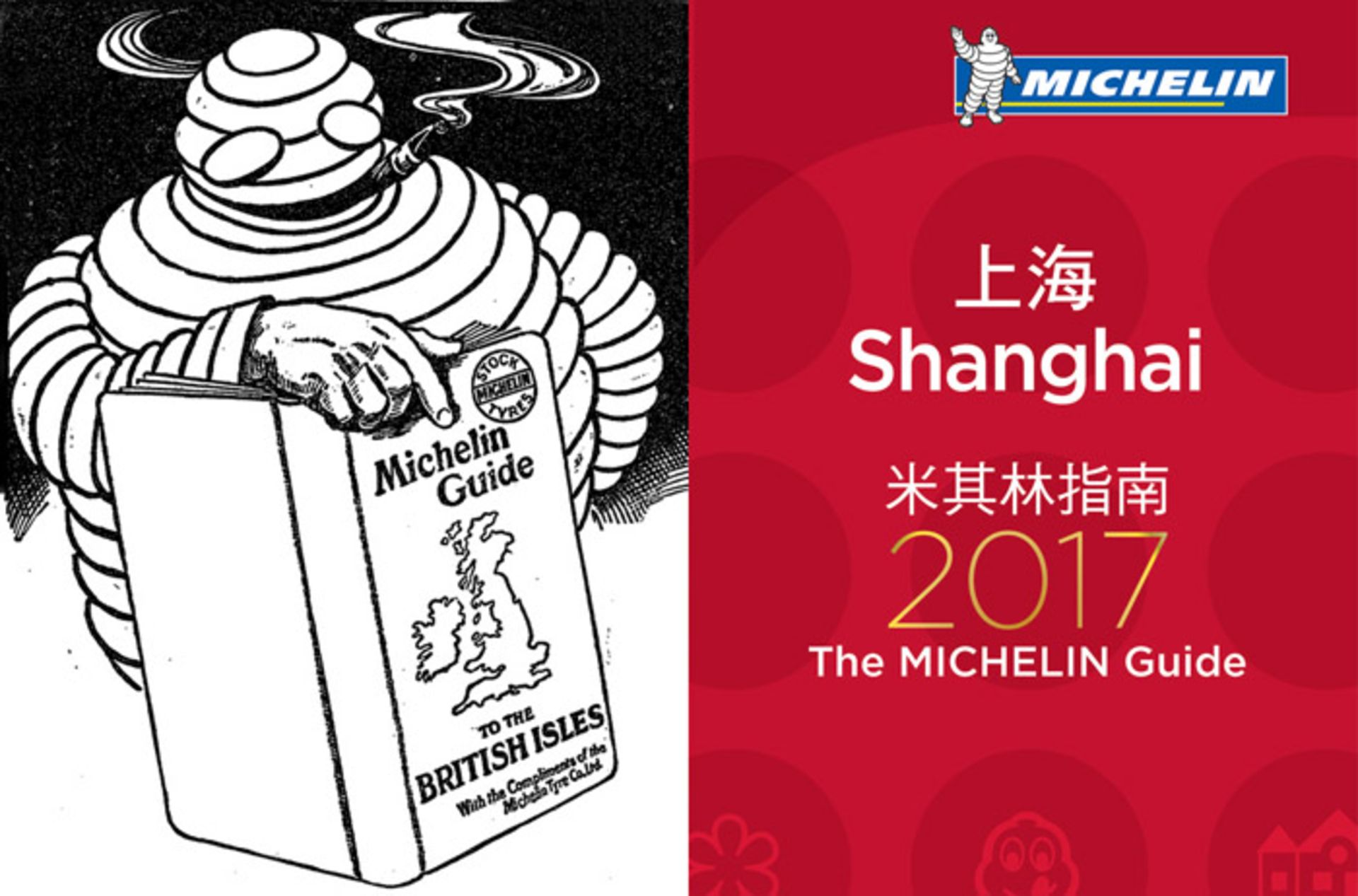 michelin tire میشلن تایر