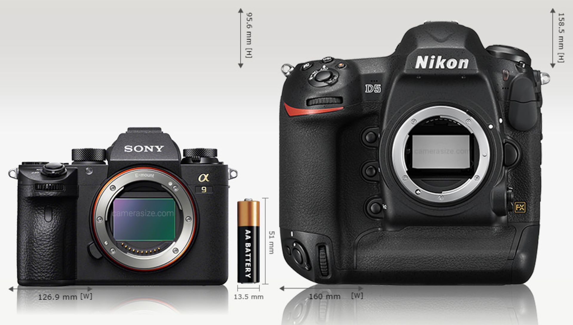 sony a9 vs nikon d5