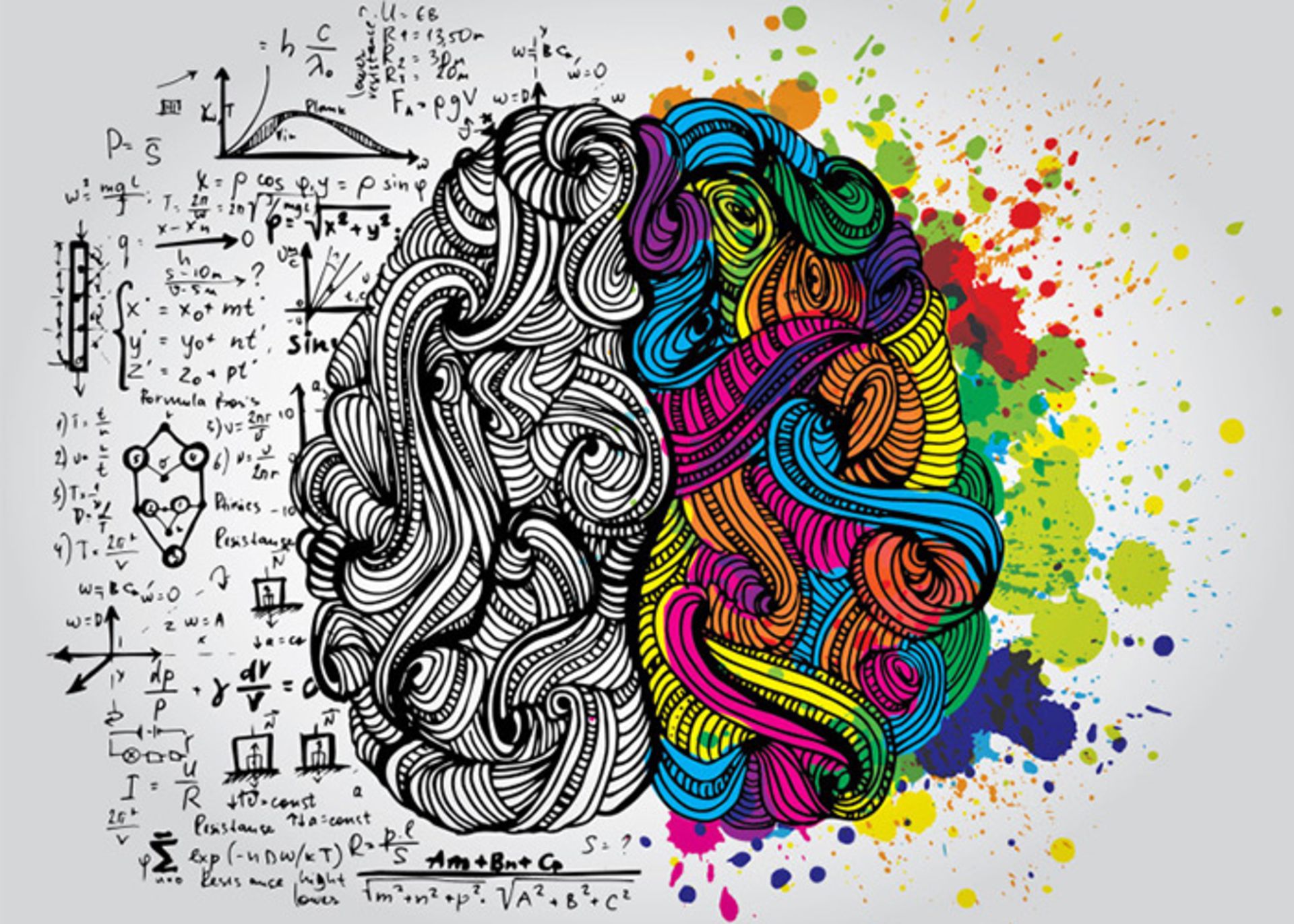 left and right brain