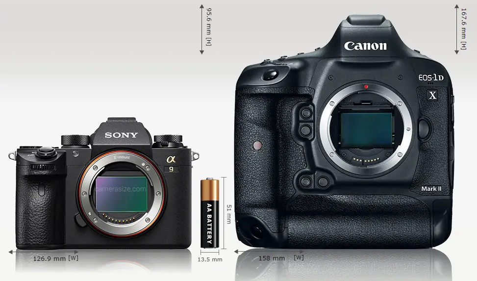 sony a9 vs canon 1dx mark ii
