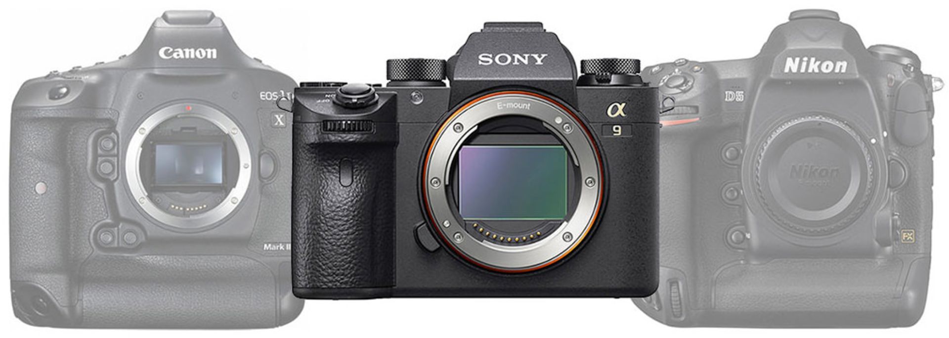 سونی a9 در مقابل نیکون d5 و نیکون 1dx mark ii