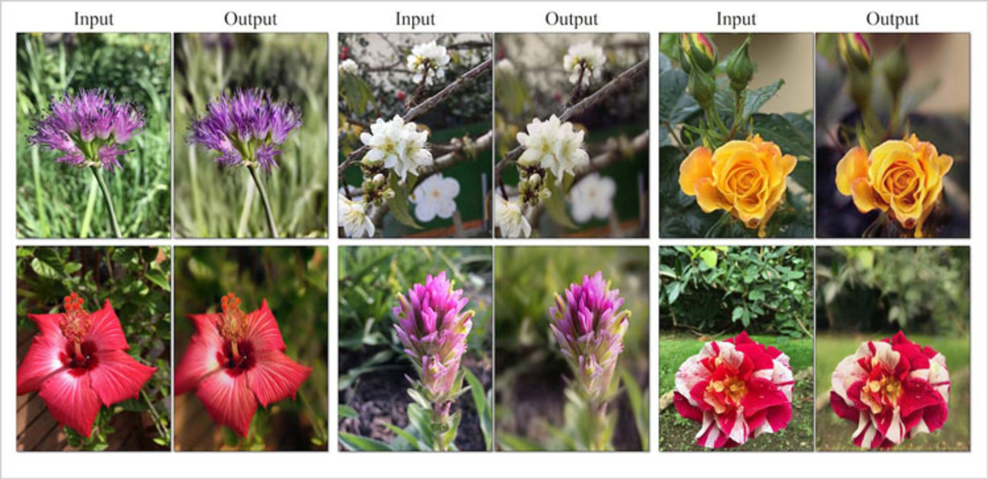 هوش مصنوعی برکلی 4