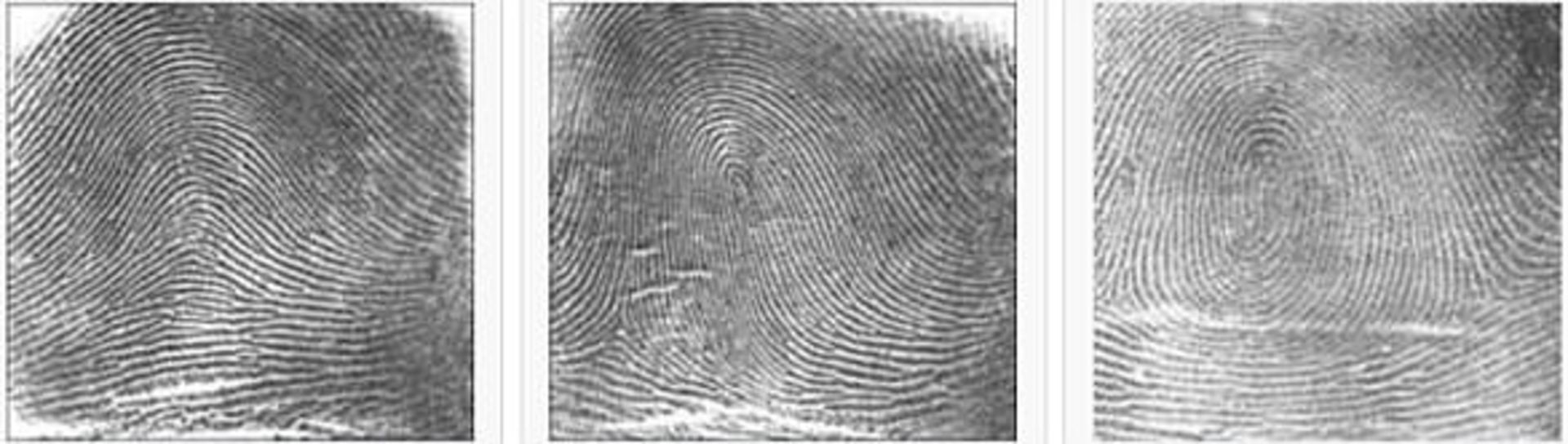 finger print