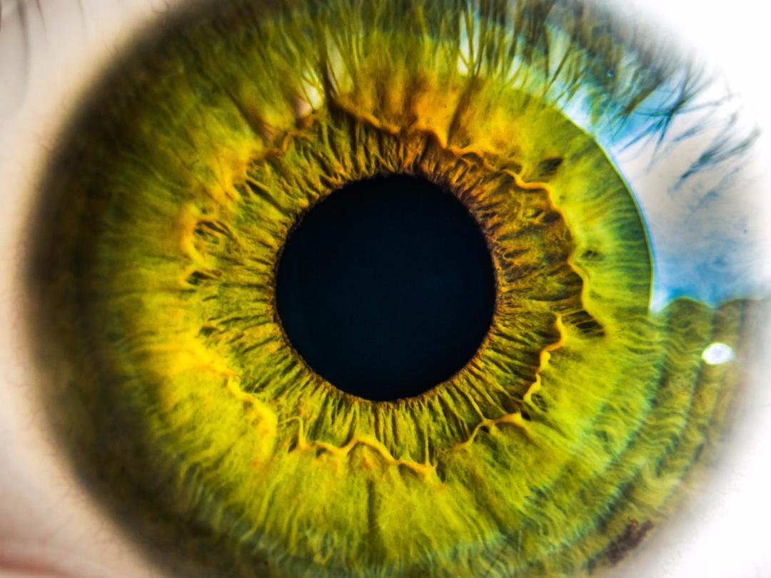 iris scanner