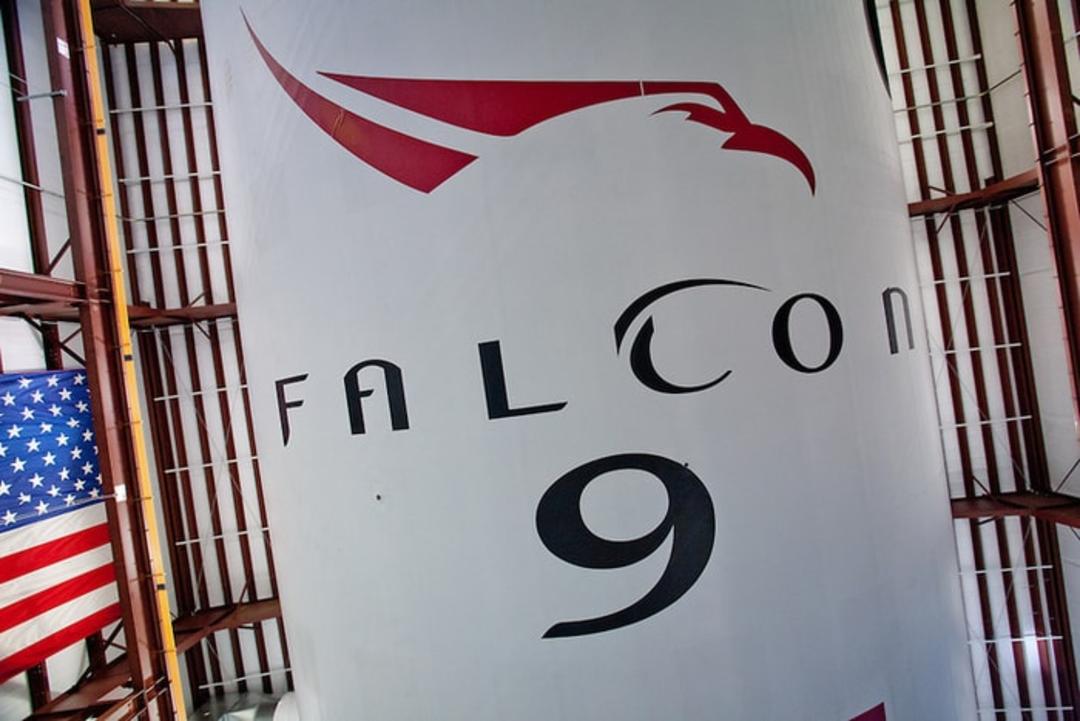 falcon