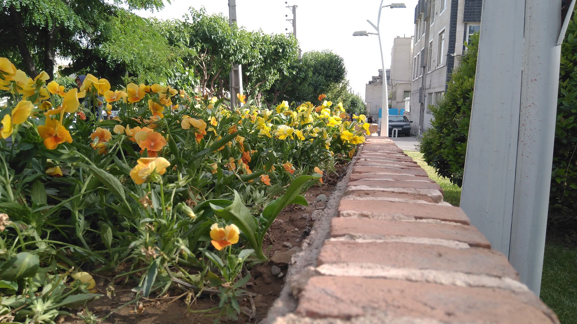 نمونه عکس دوربین نوکیا 6