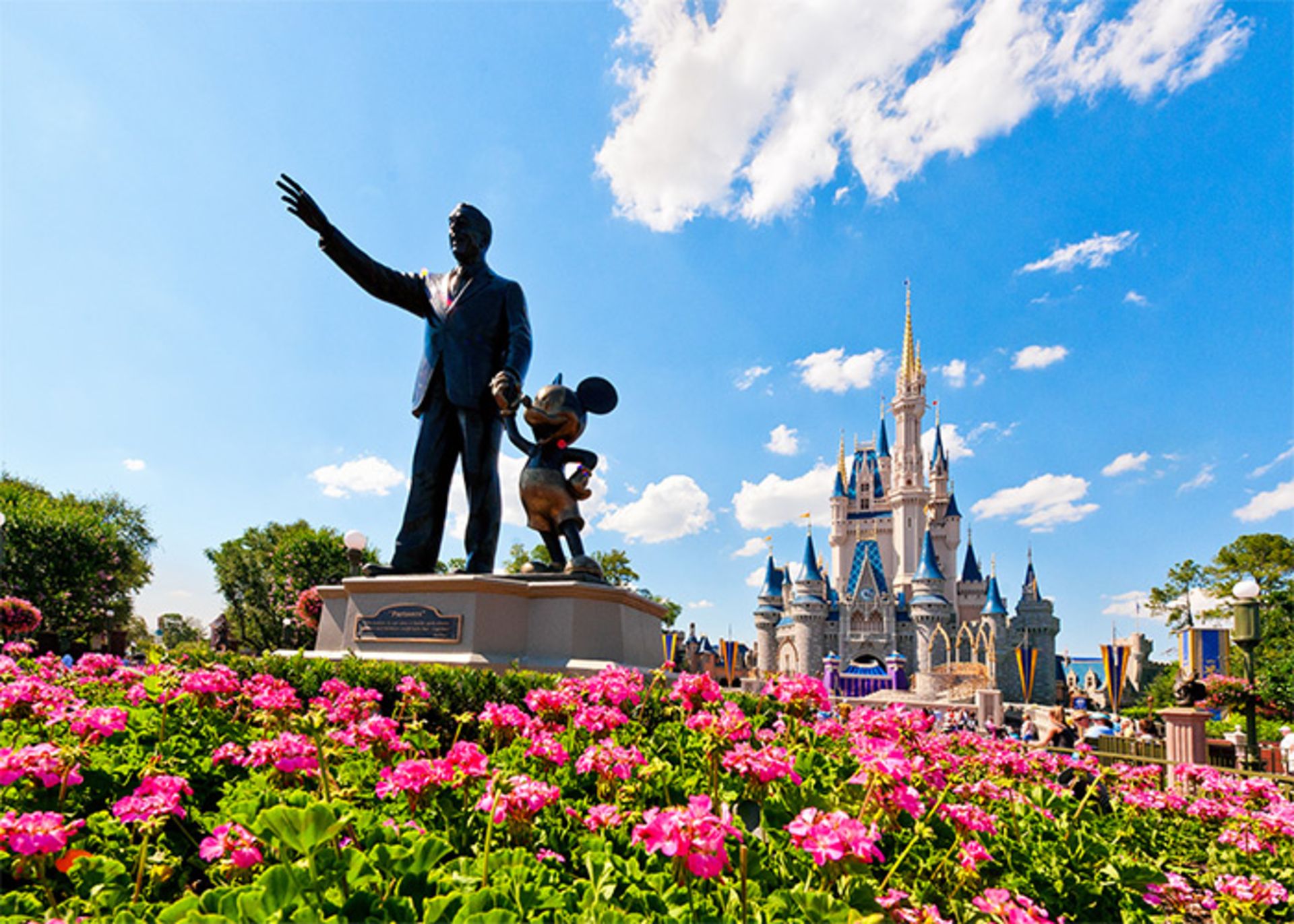 walt disney world