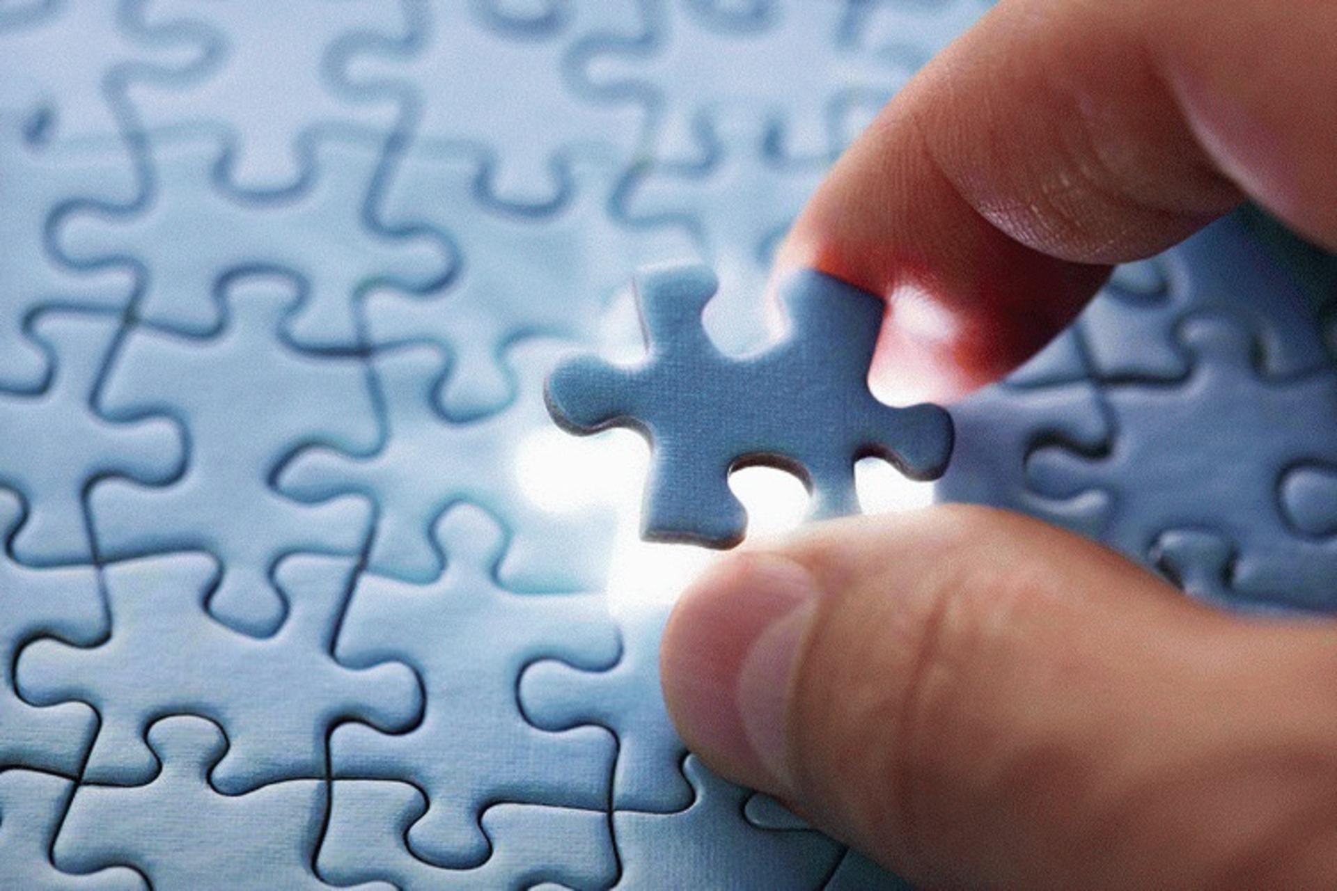 puzzle of life
