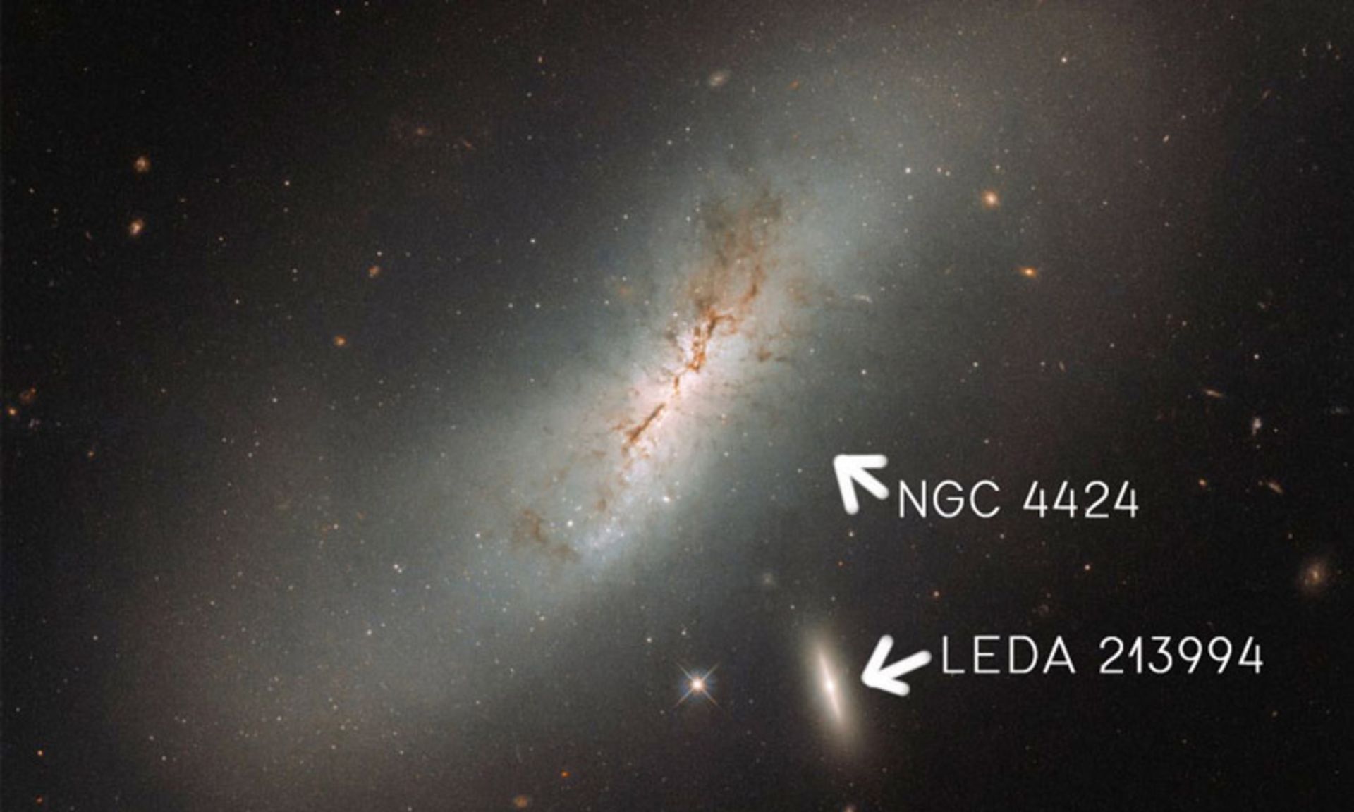 Galaxies NGC 4424 and LEDA 213994