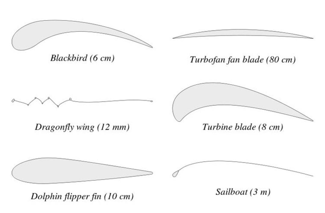 Examples of Airfoils