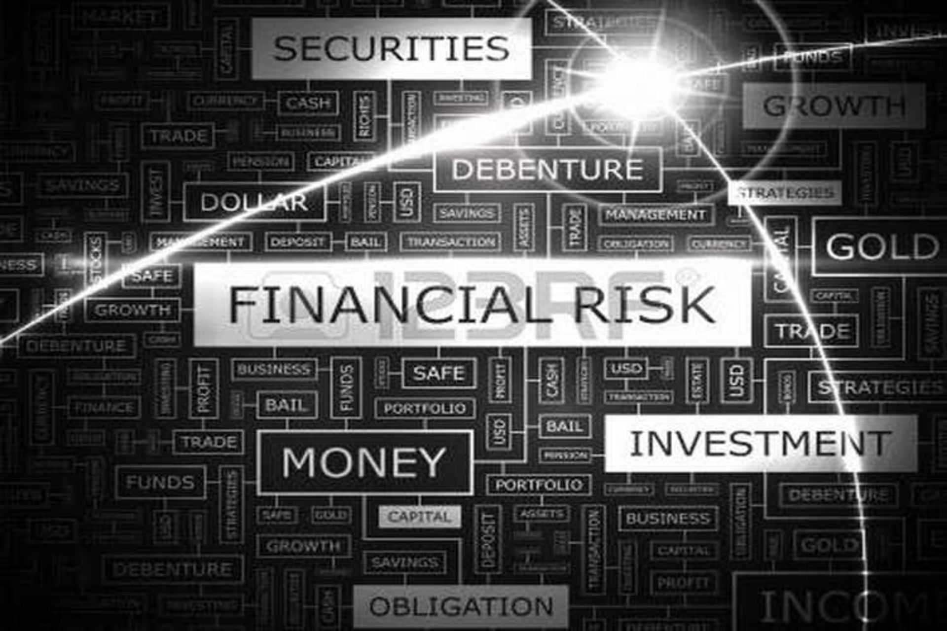 financial risk