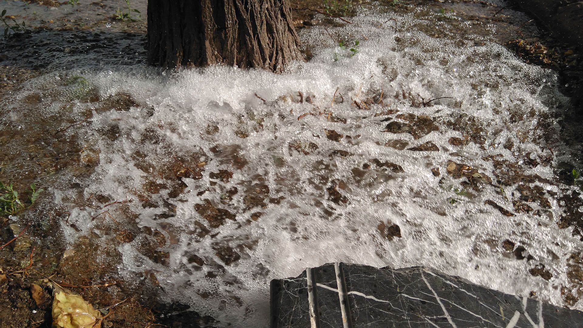 نمونه عکس دوربین نوکیا 6