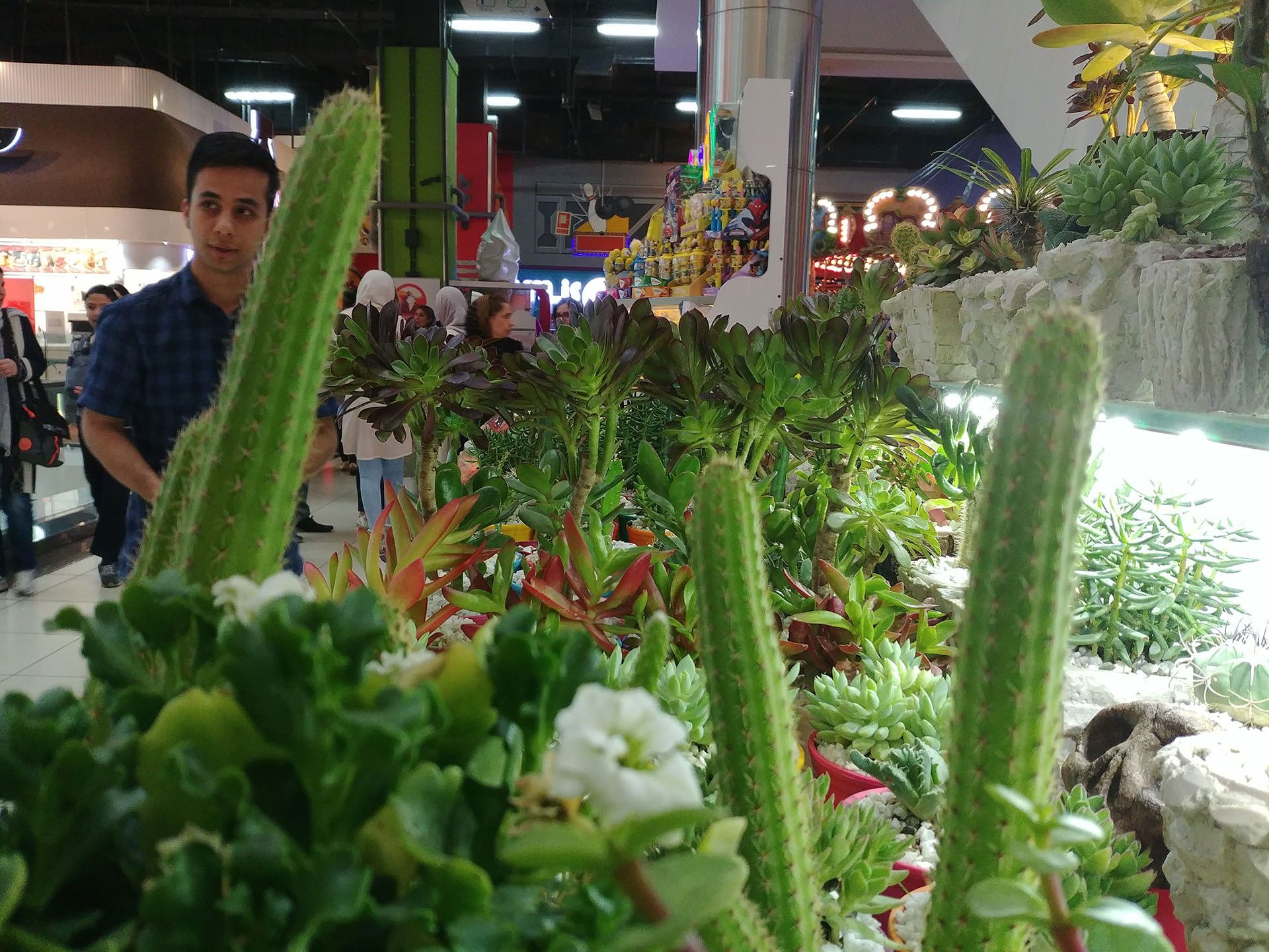 نمونه عکس ال جی جی ۶