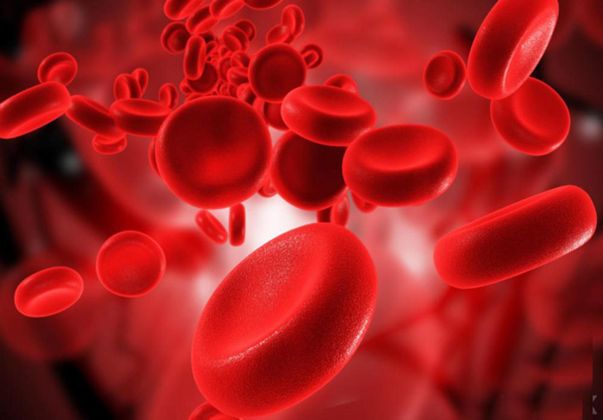 blood cell
